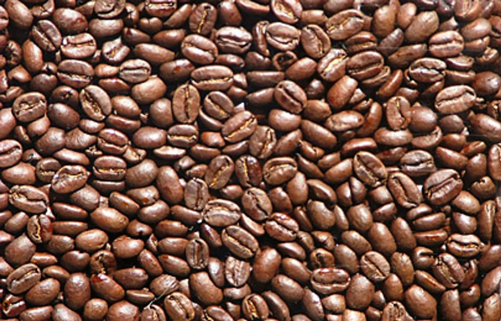 kava