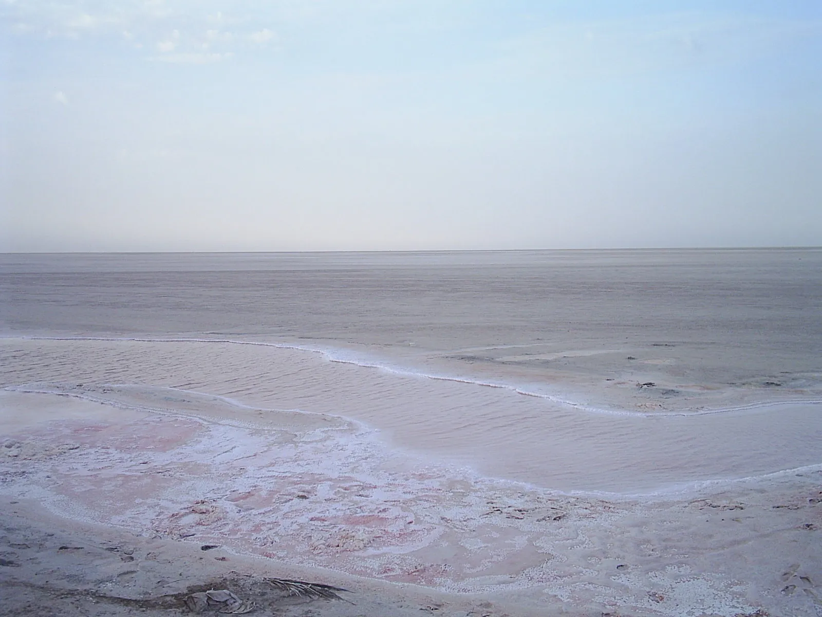 Chott El Jerid
