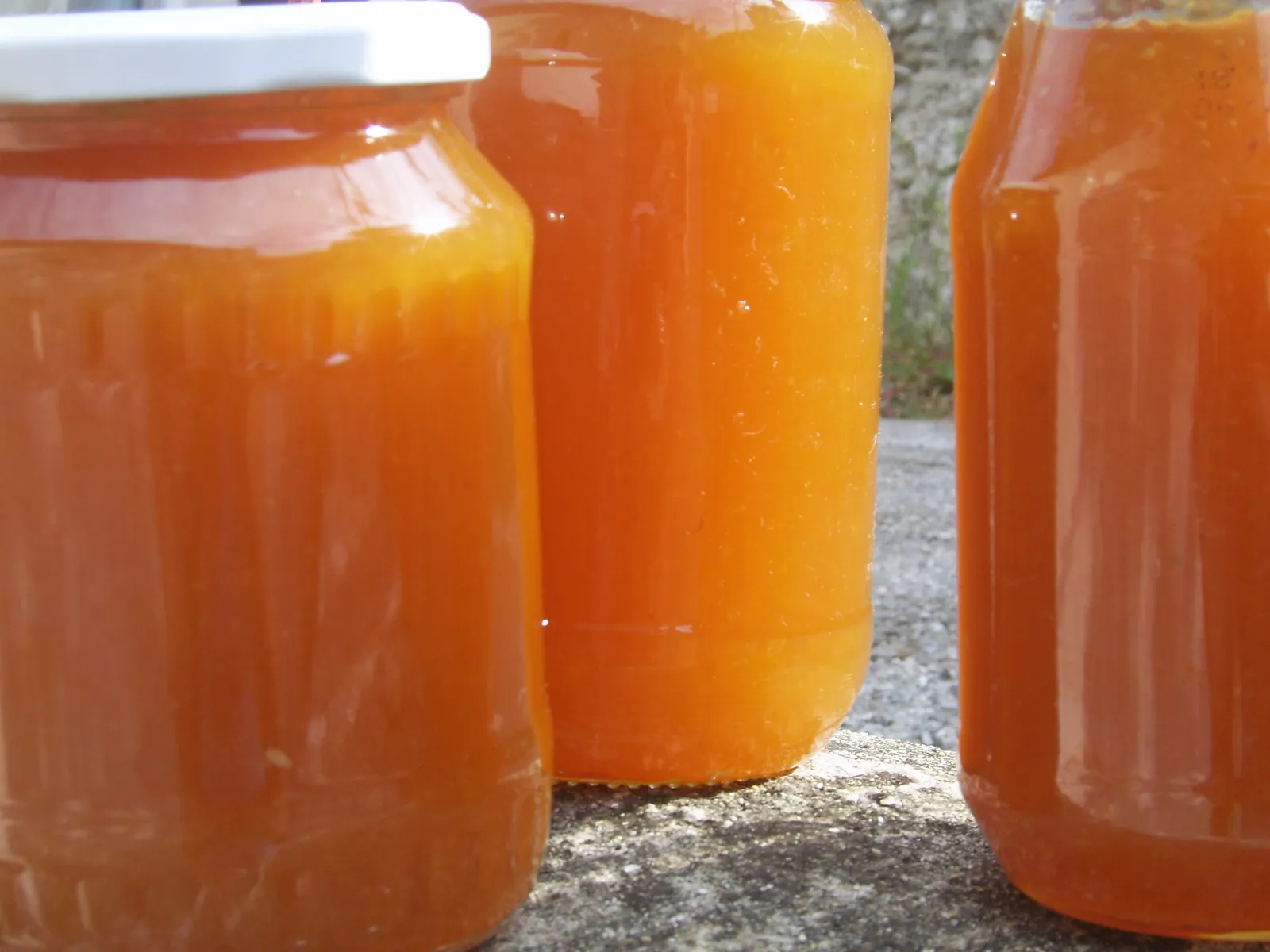 amber nectar