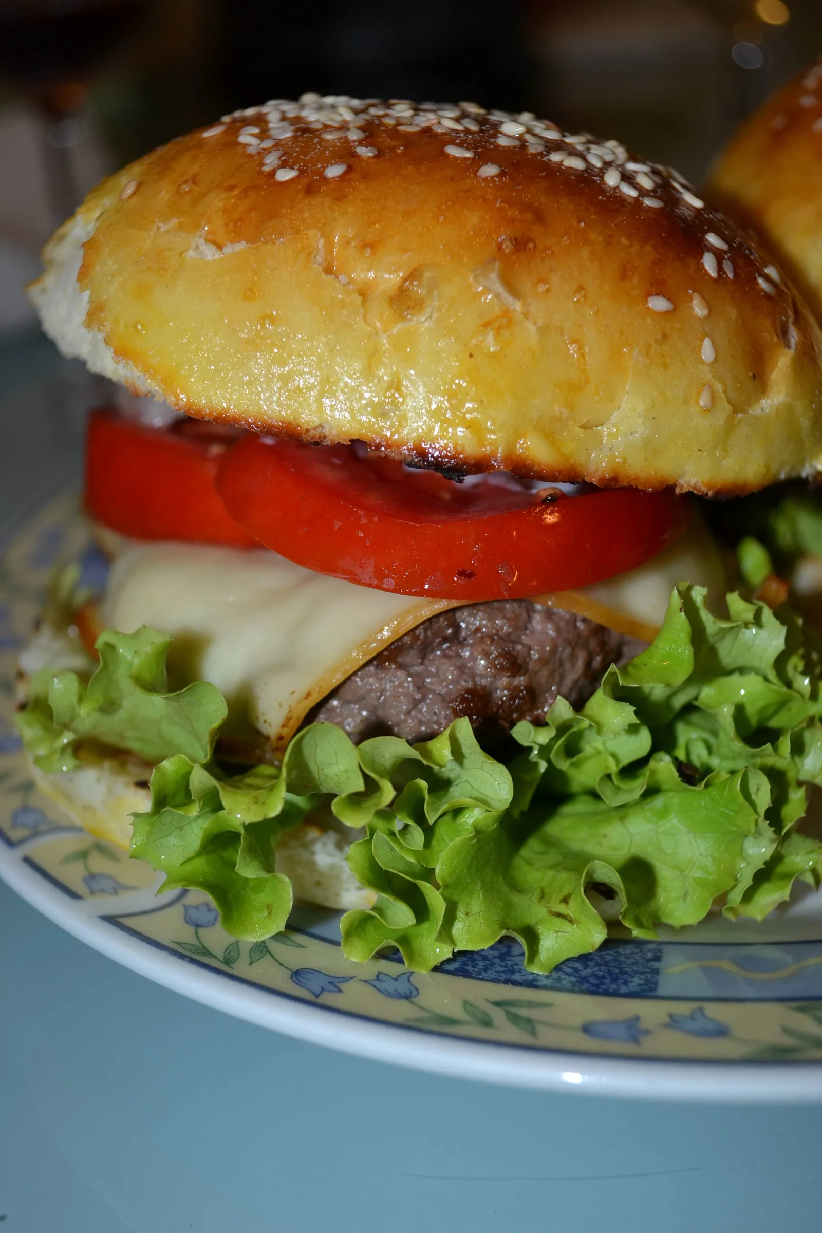 Domaći burgeri
