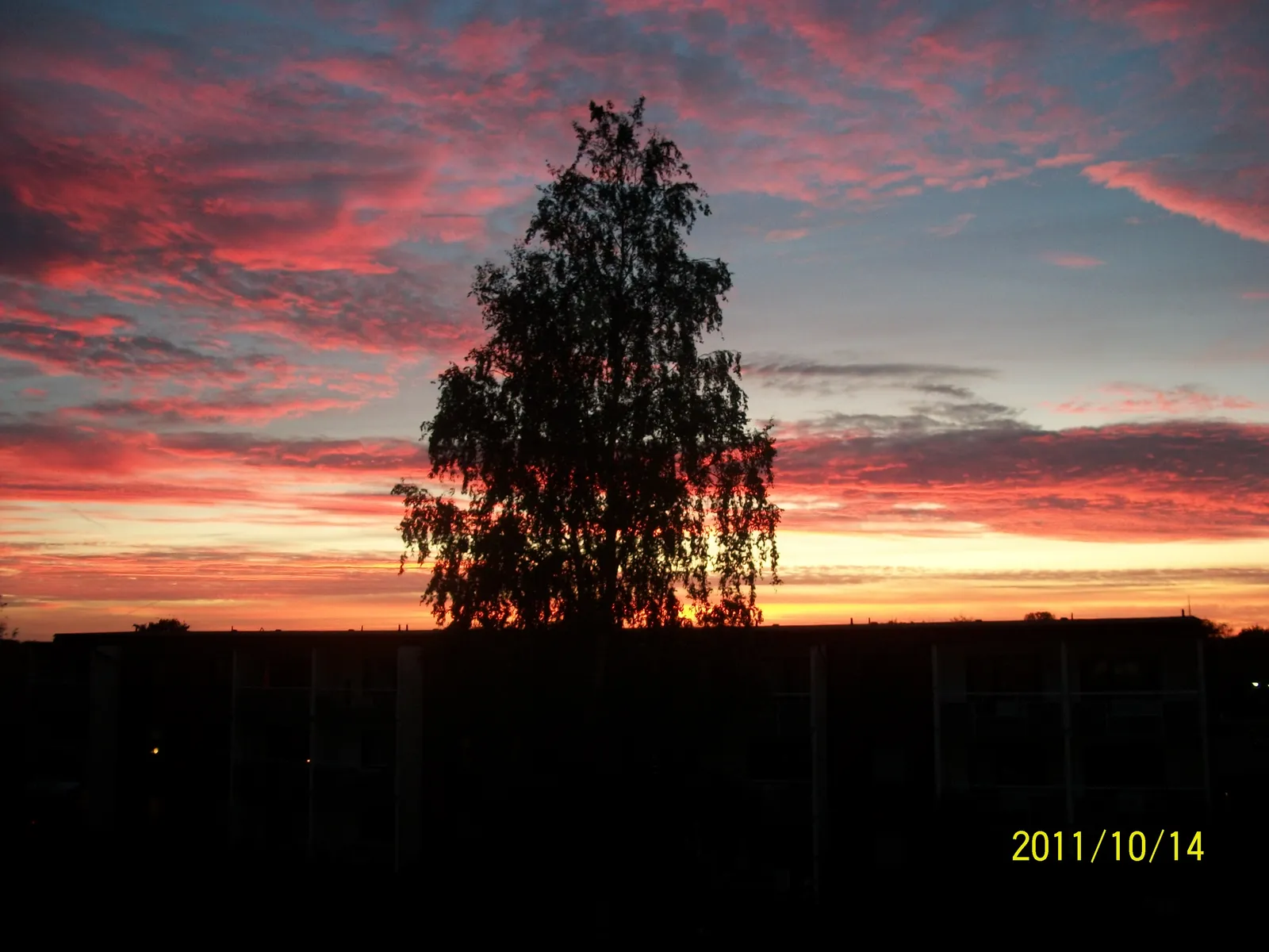 16cd44ce-6363-11eb-9bbe-0242ac120036