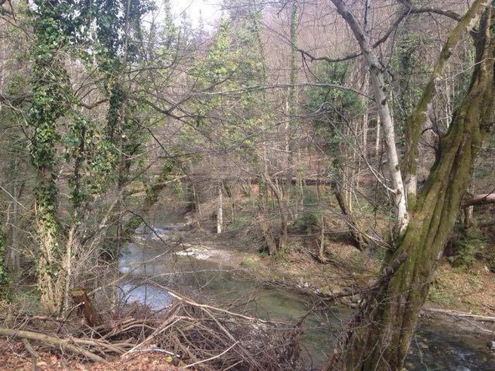 Image 2677401 (auto)