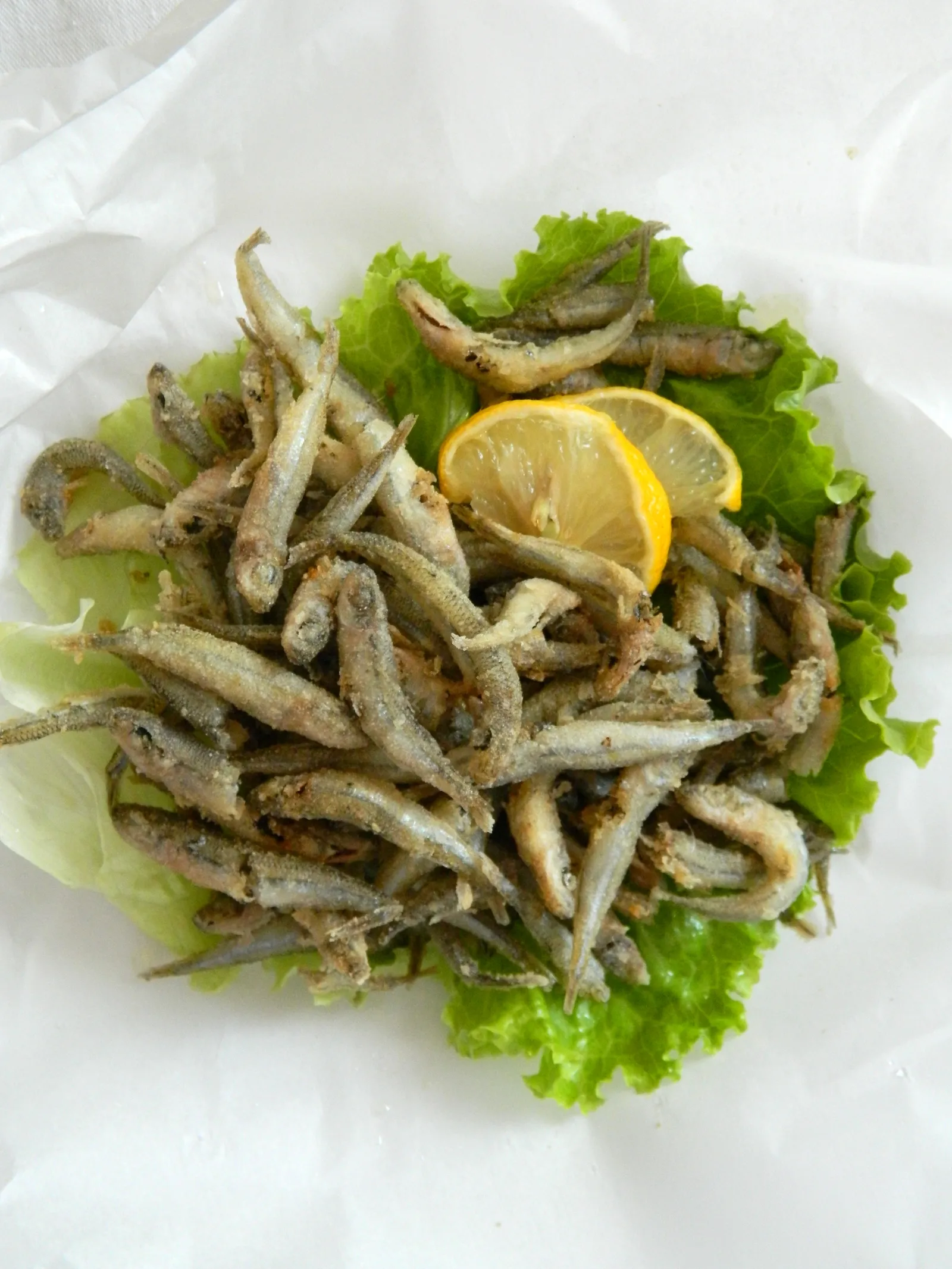frigani gavuni