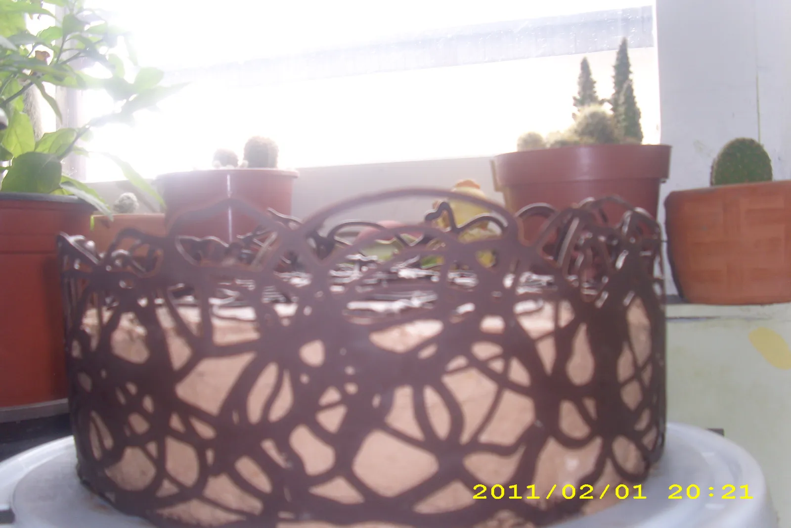 Image 502247 (auto)