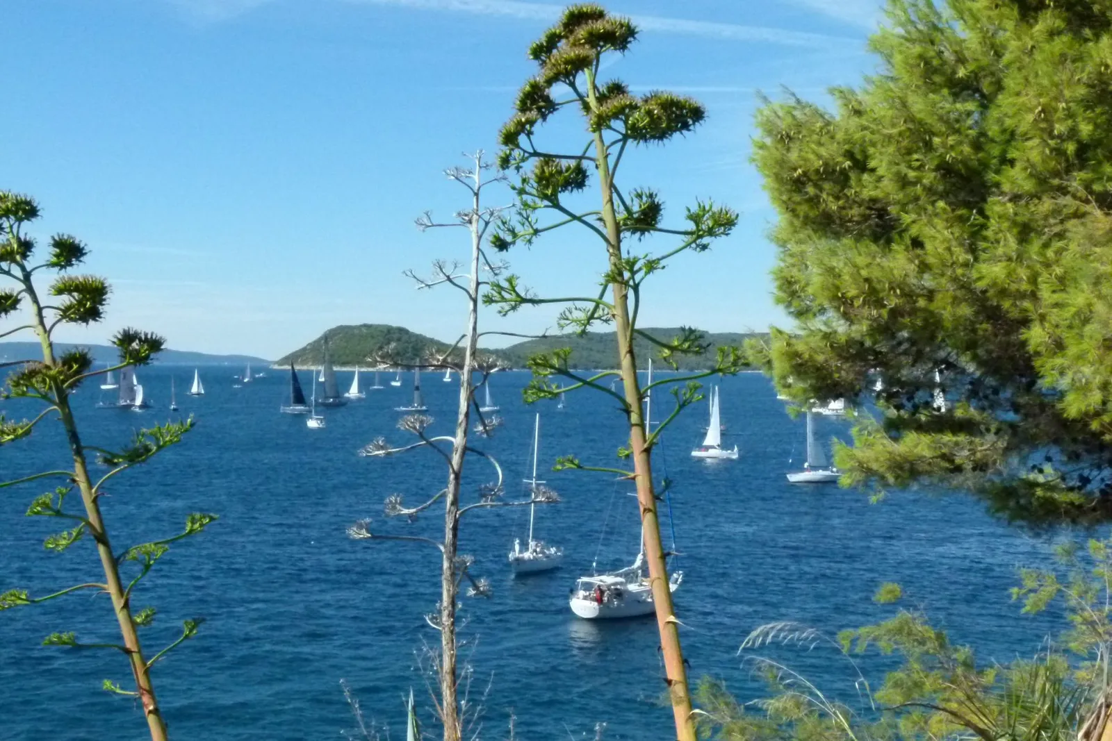 regata 84.mrduja, split/jučer bila /