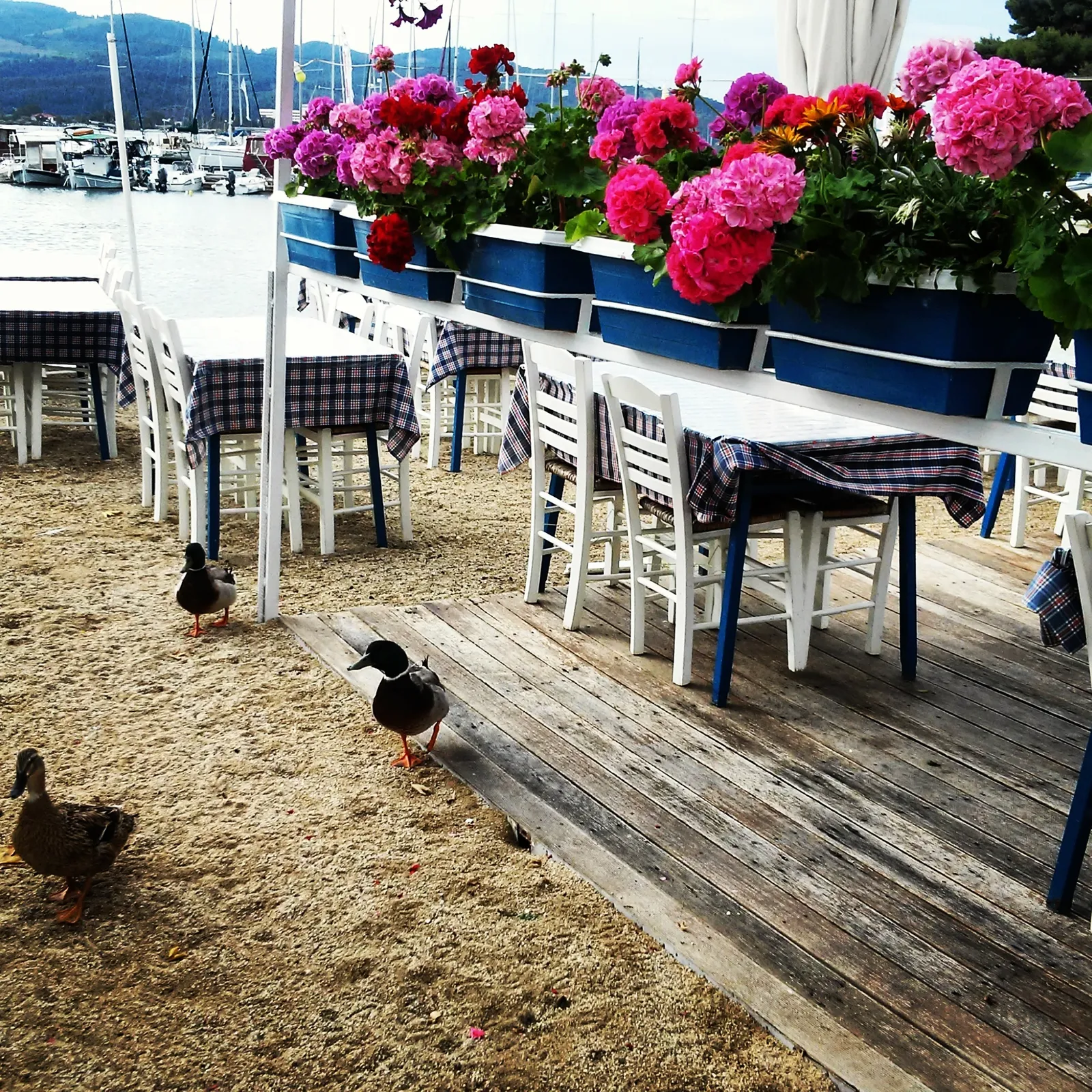 ODMOR U MAJU :)