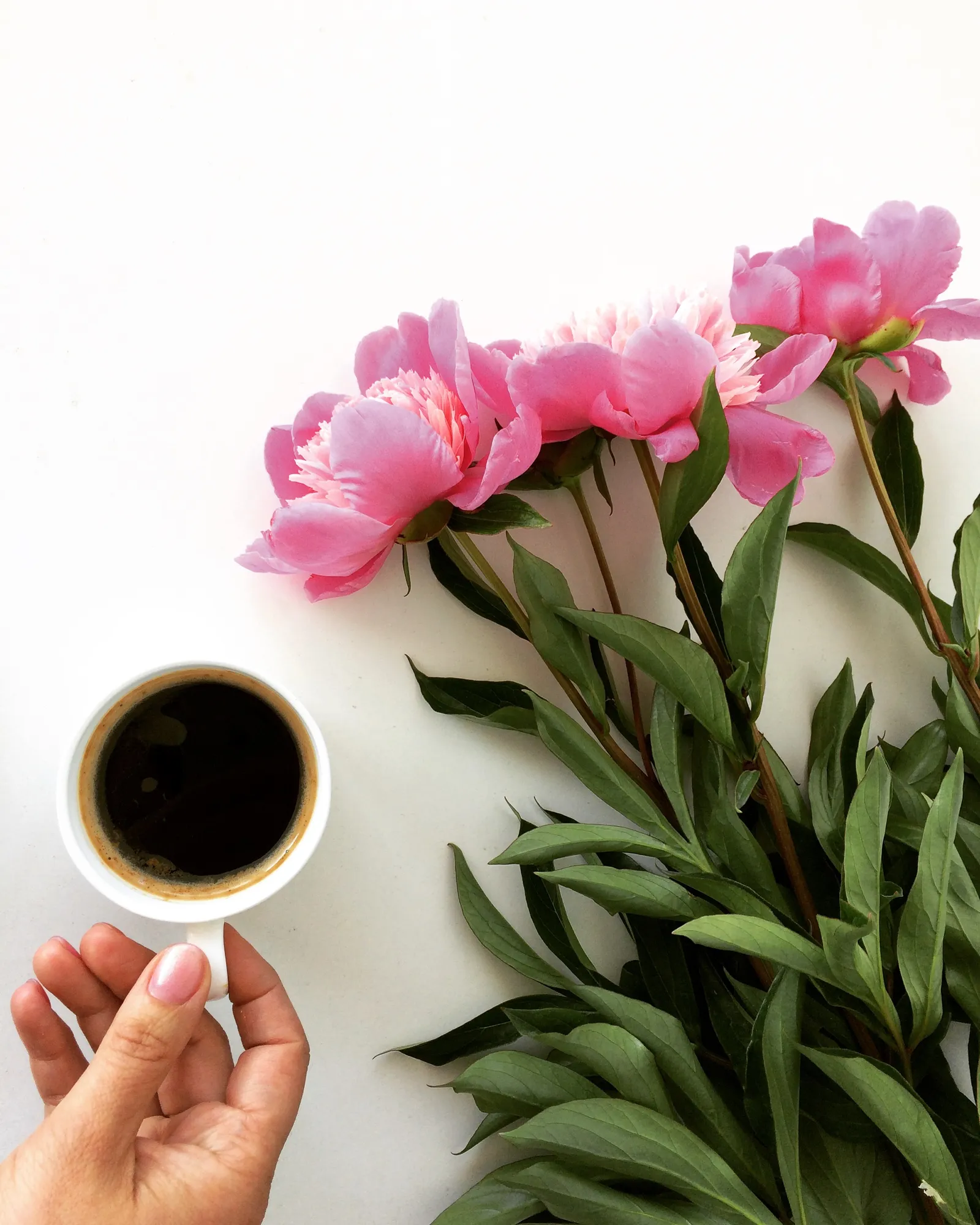 ☕️