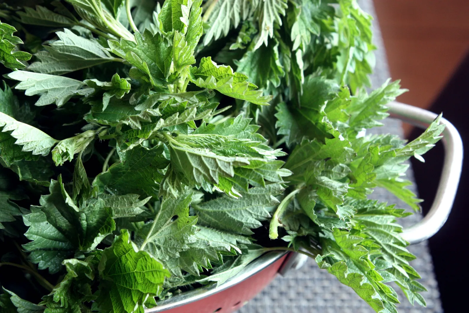 Kopriva