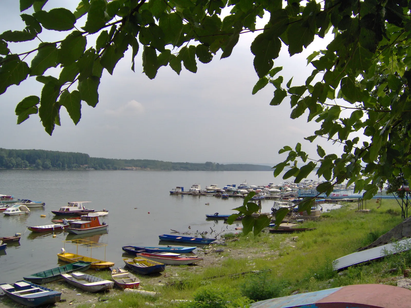 Dunav