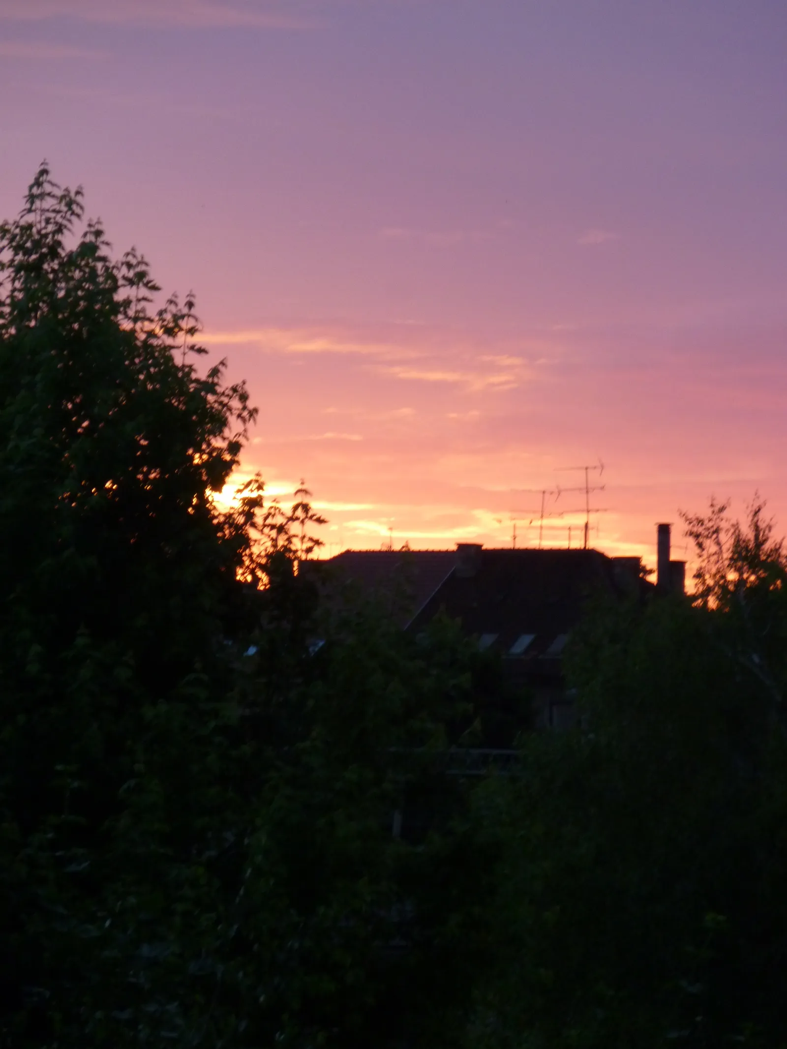 Svitanje