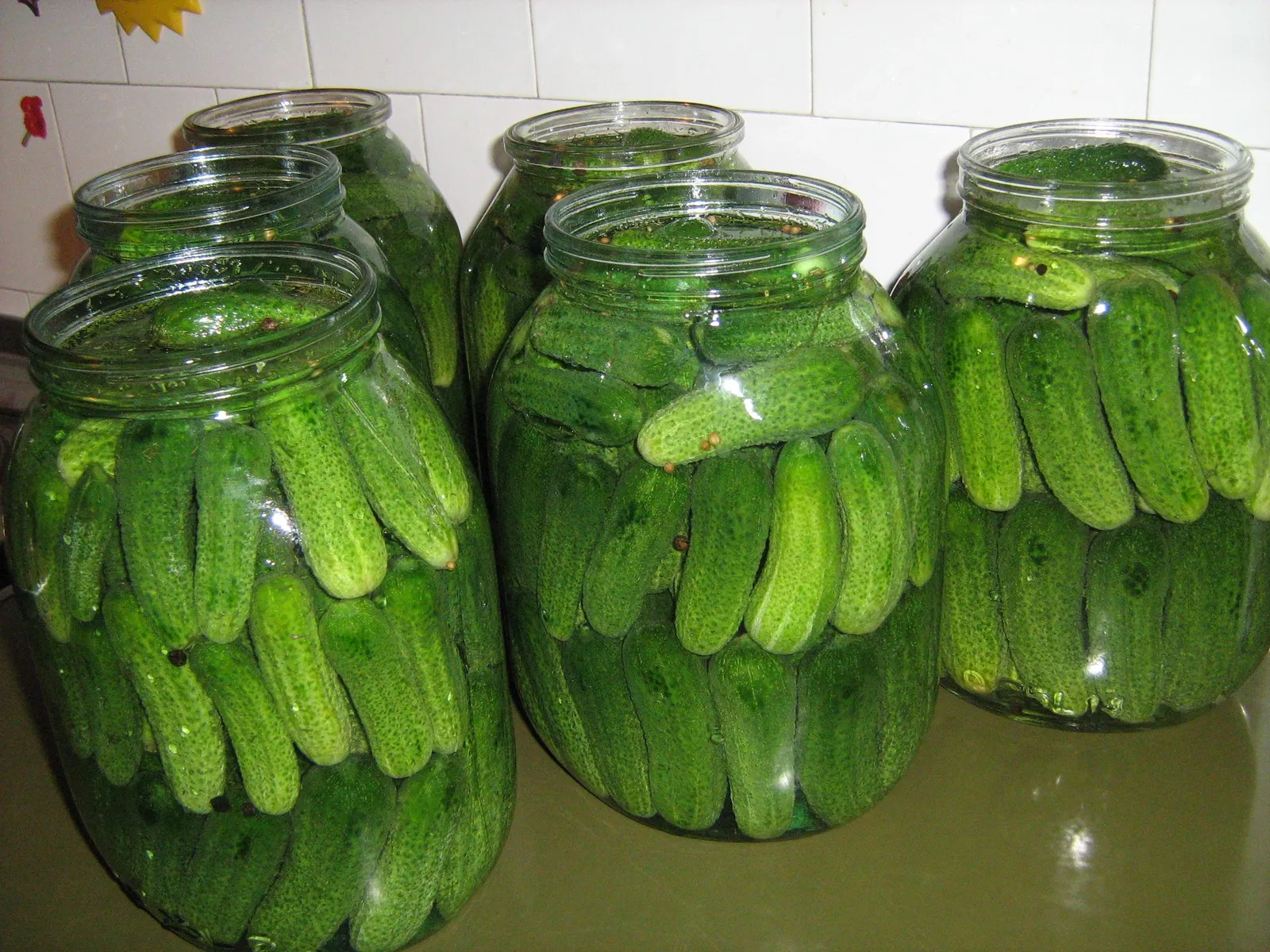 Kornisoni