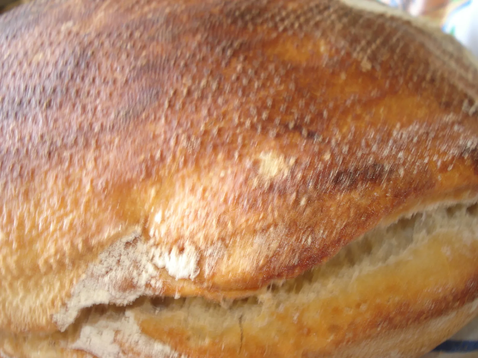 No Knead Bread by DajanaD