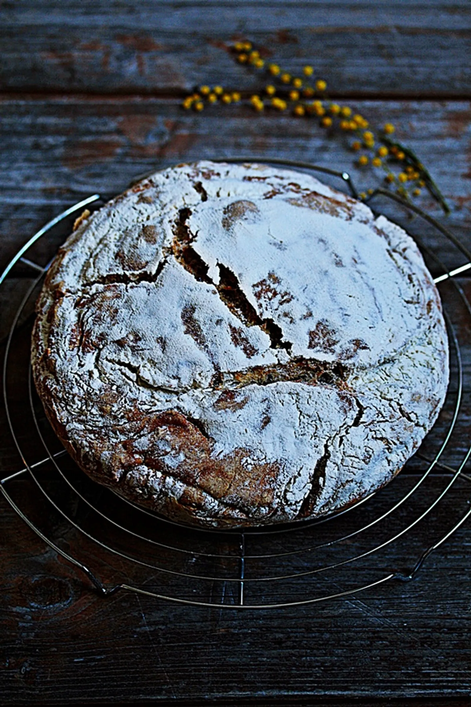 No Knead Bread