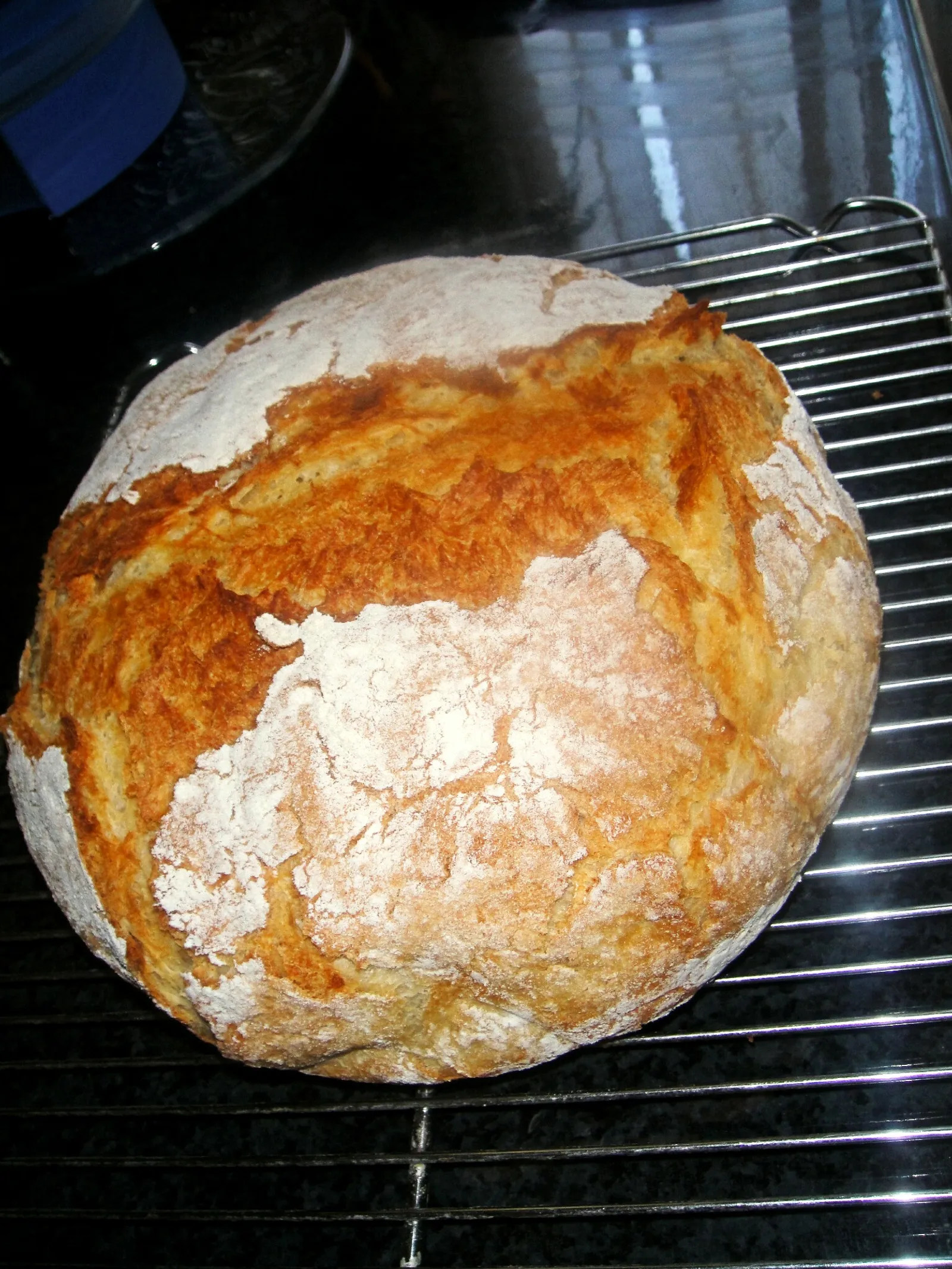 No Knead Bread-DajanaD