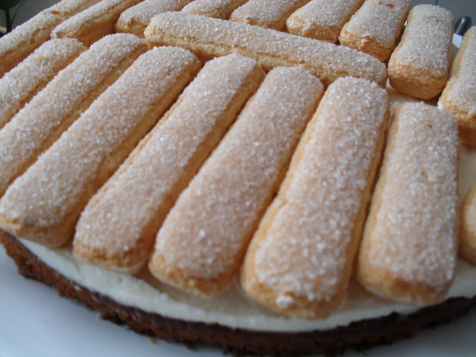 Tiramisu torta