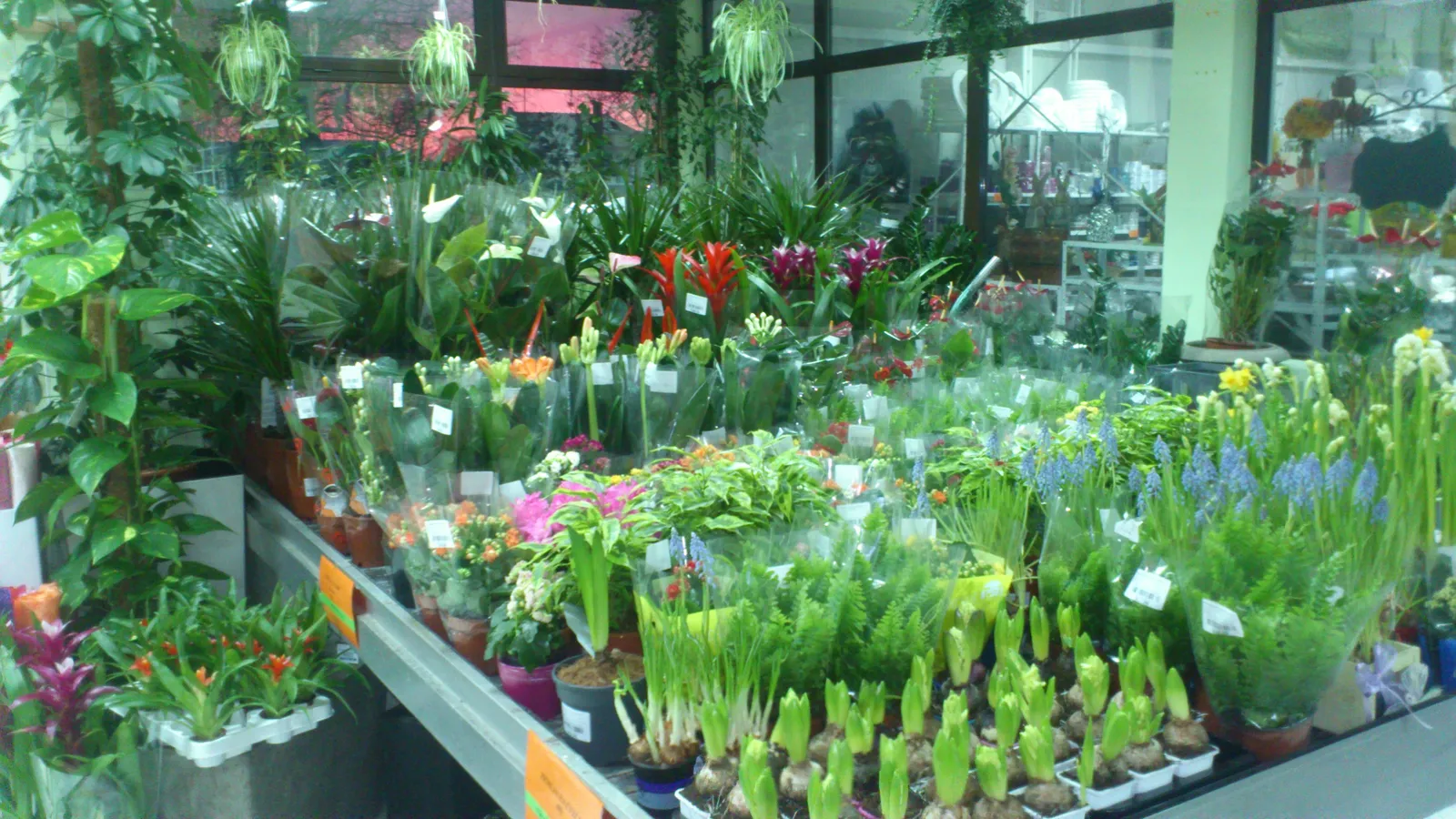 OSMI MART