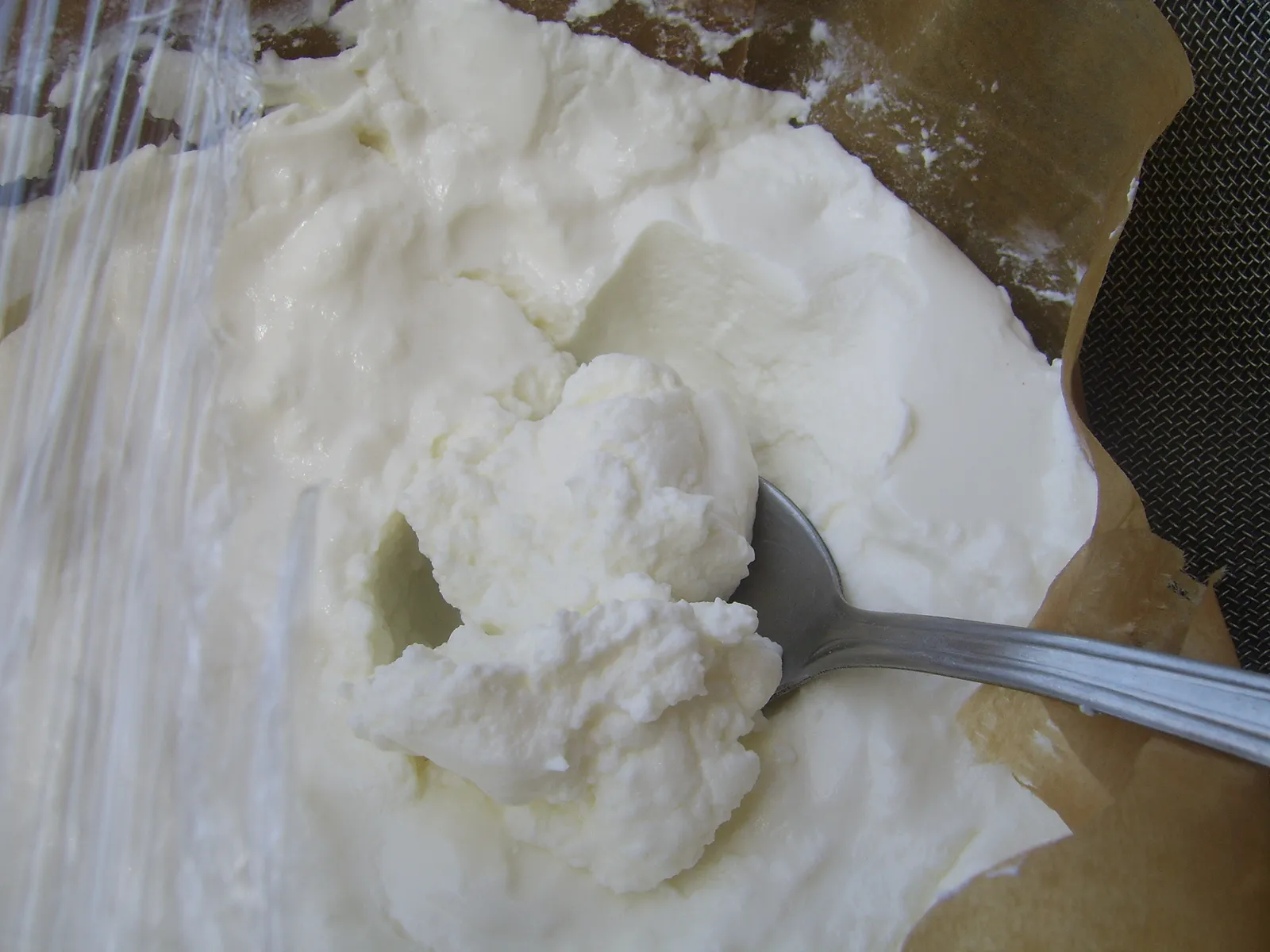 grčki jogurt-gusti jogurtić