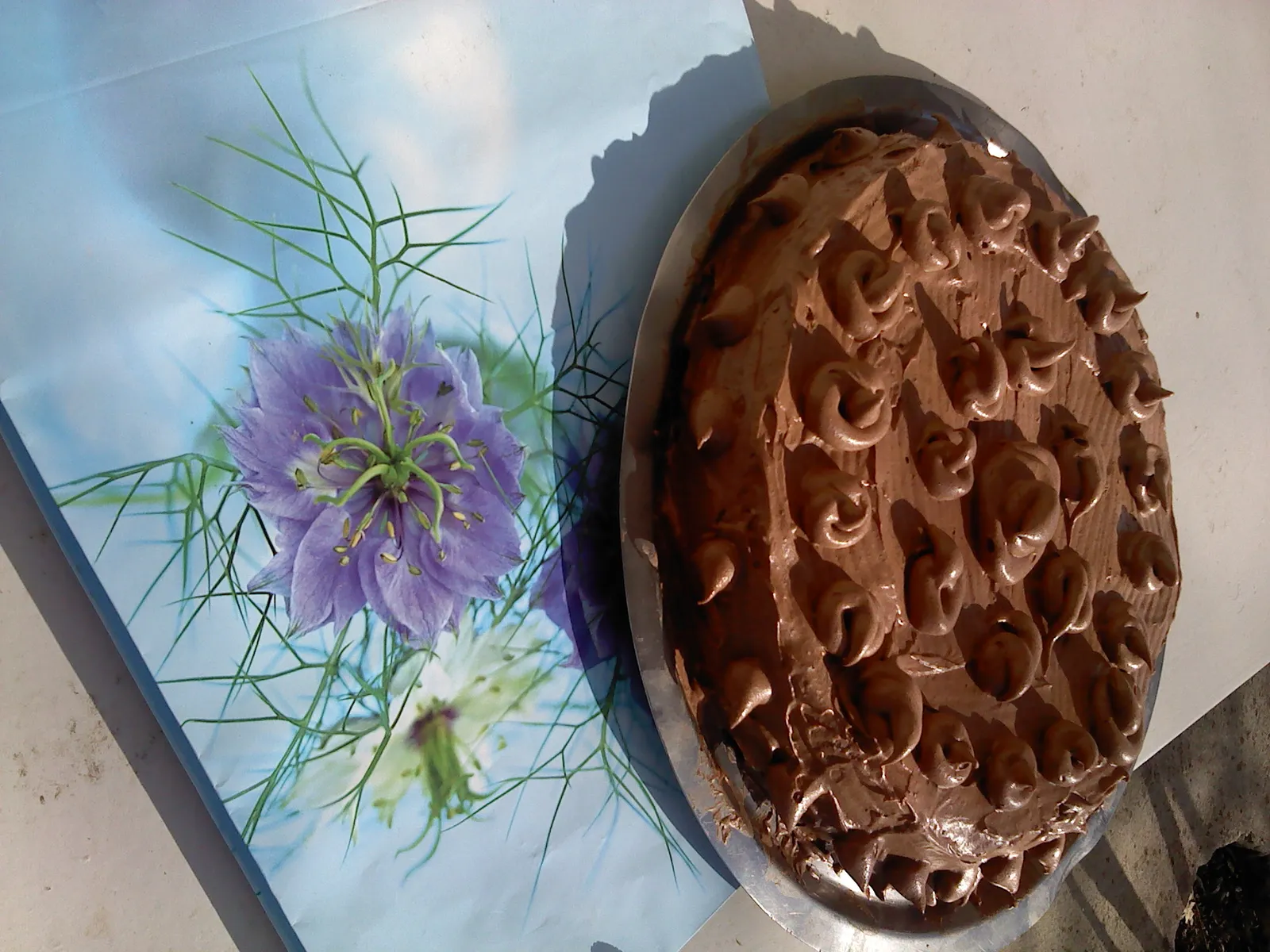 moja tortaaa