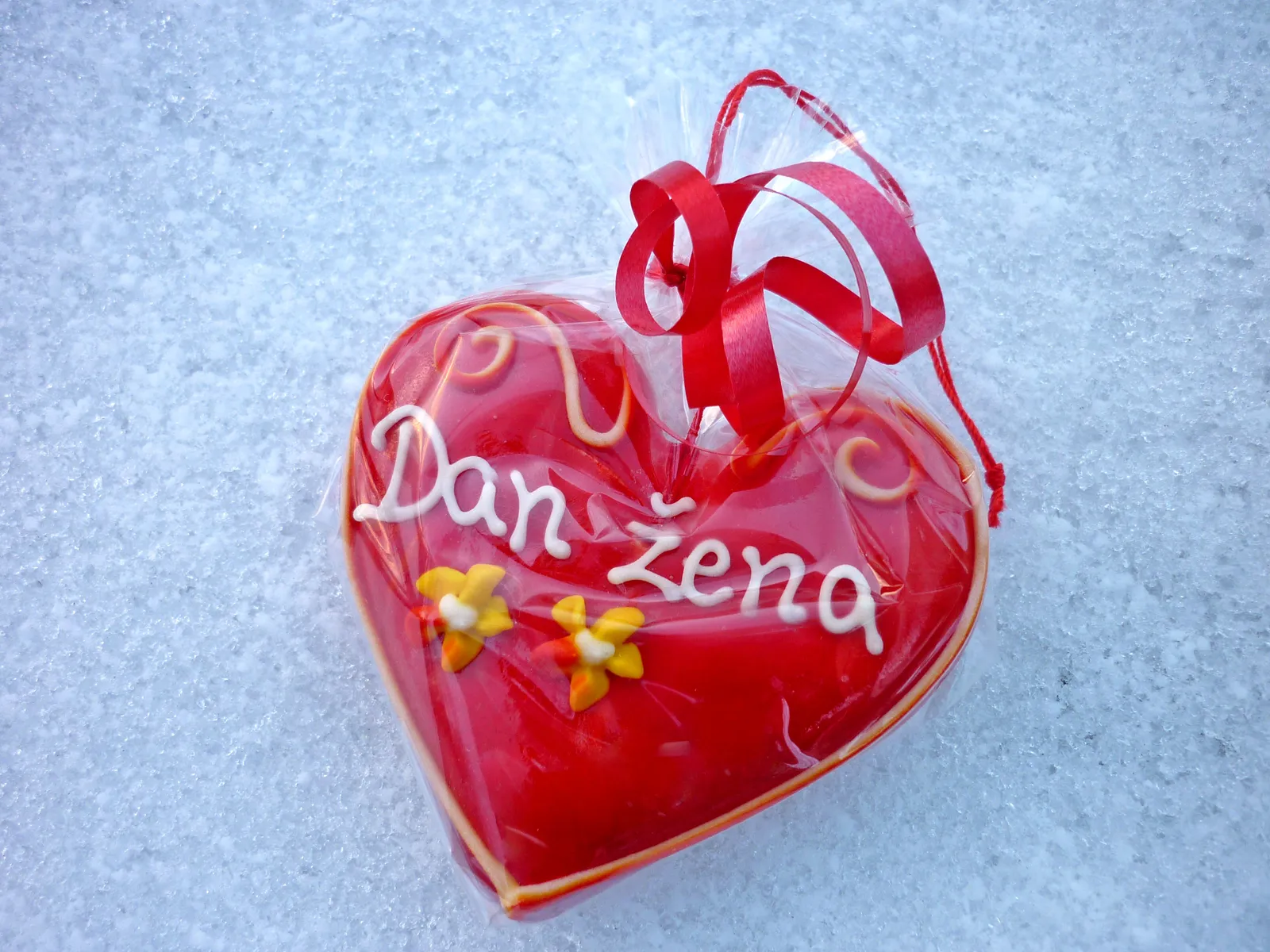 DAN ŽENA