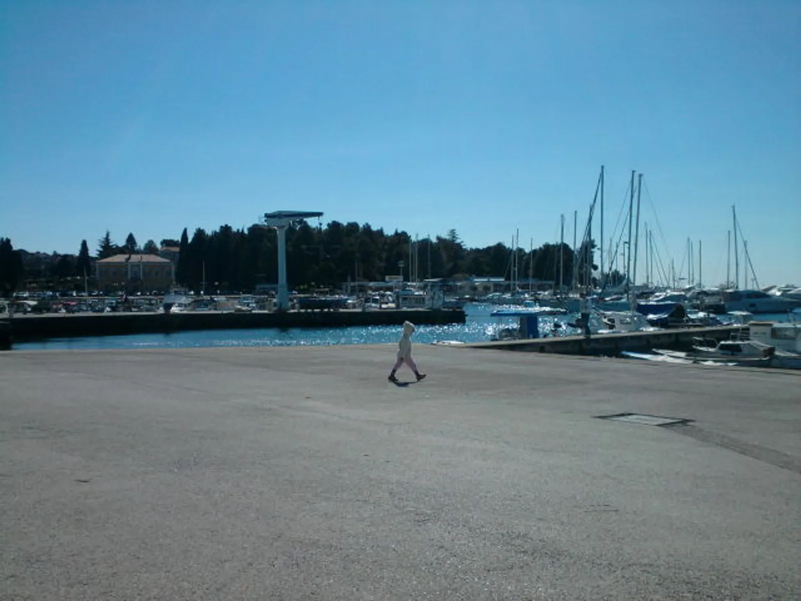 Image 502503 (auto)