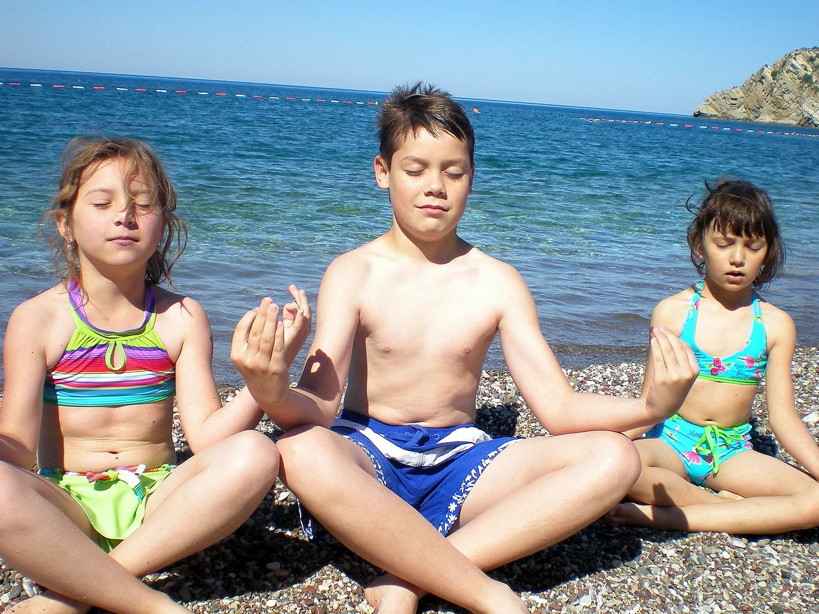 trizen