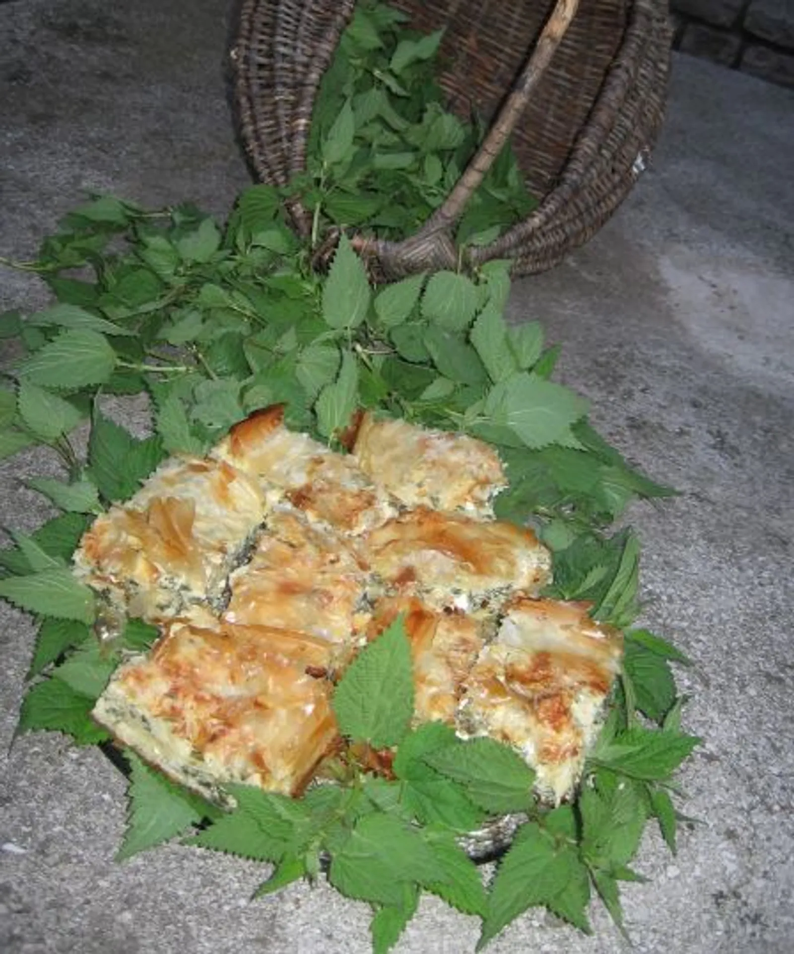Gužvara sa Koprivom