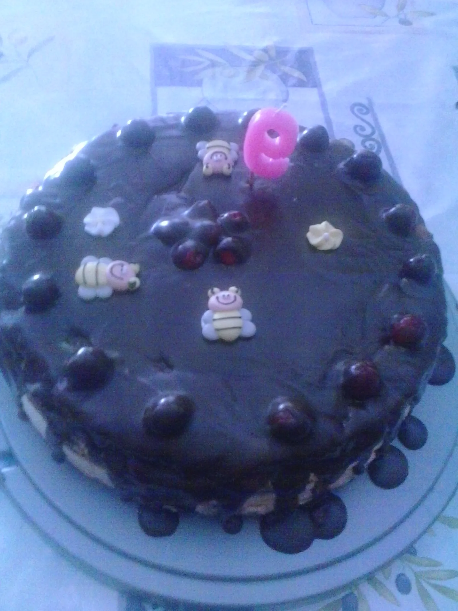 opet torta