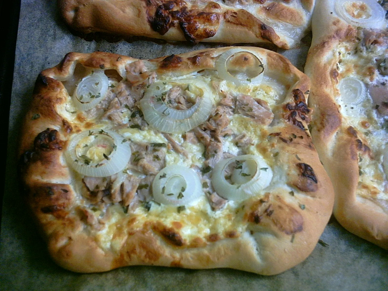 pecena pizza s tunjevinom