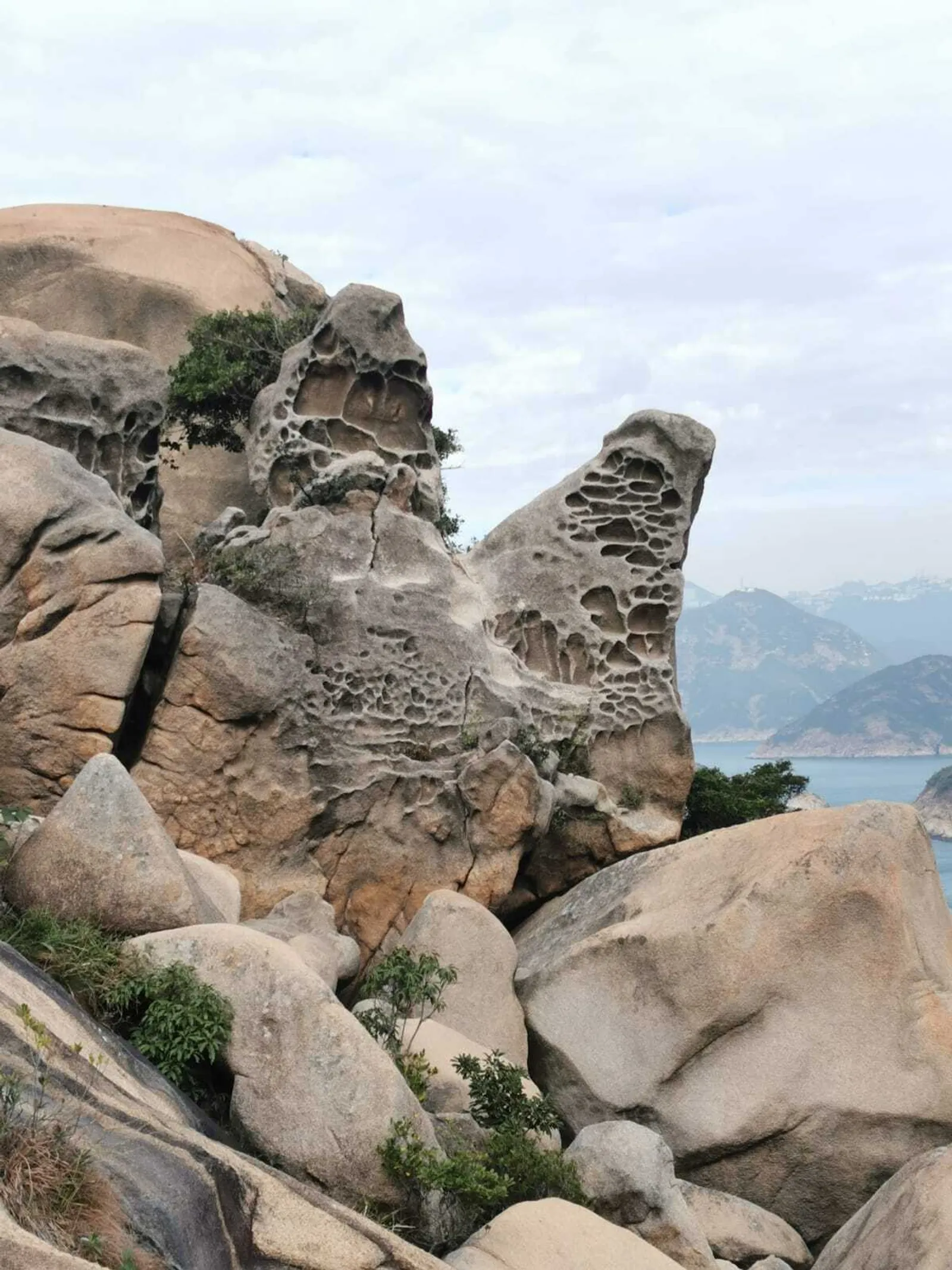 Chung hom kok