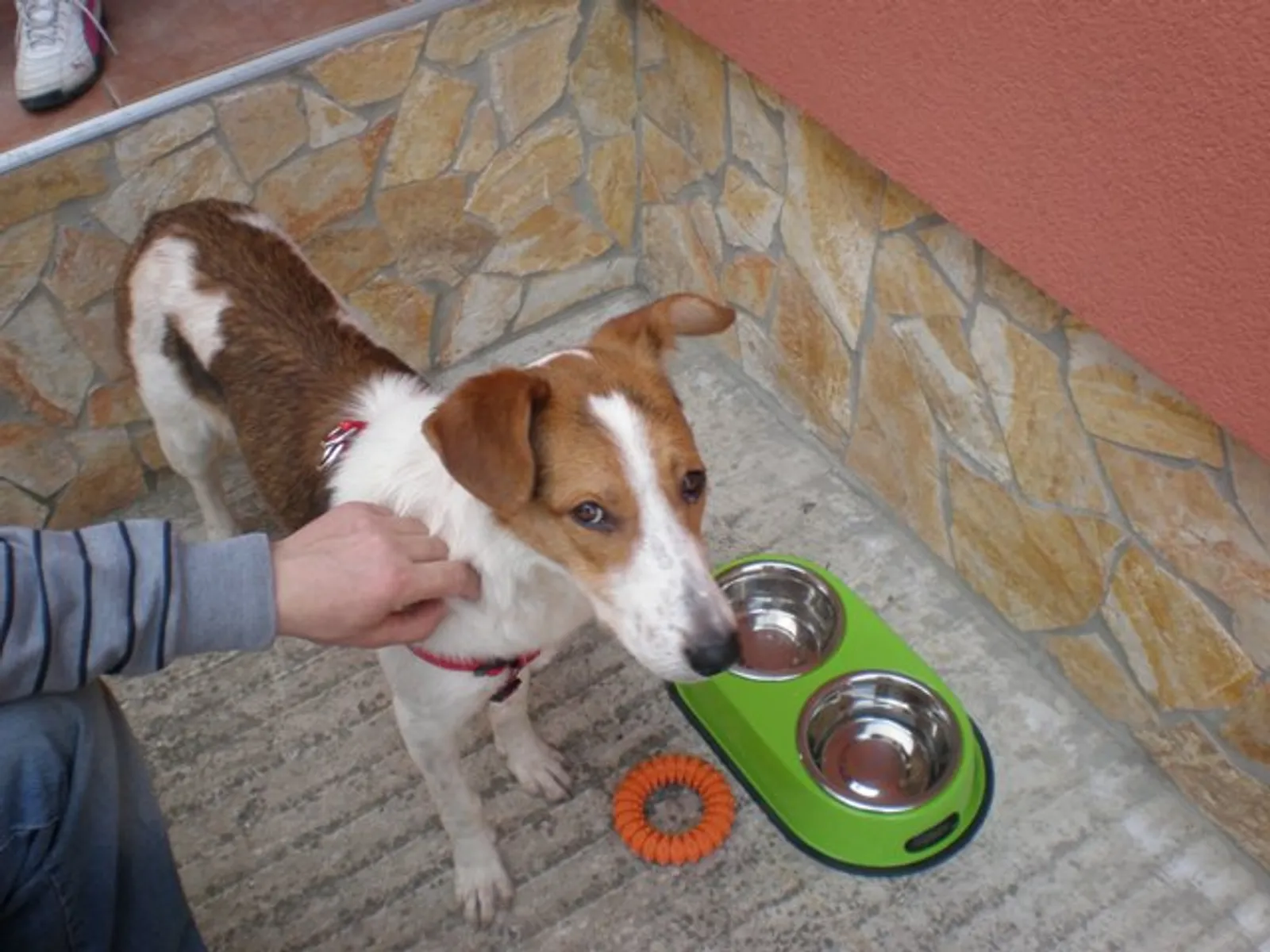 Naša Lucy