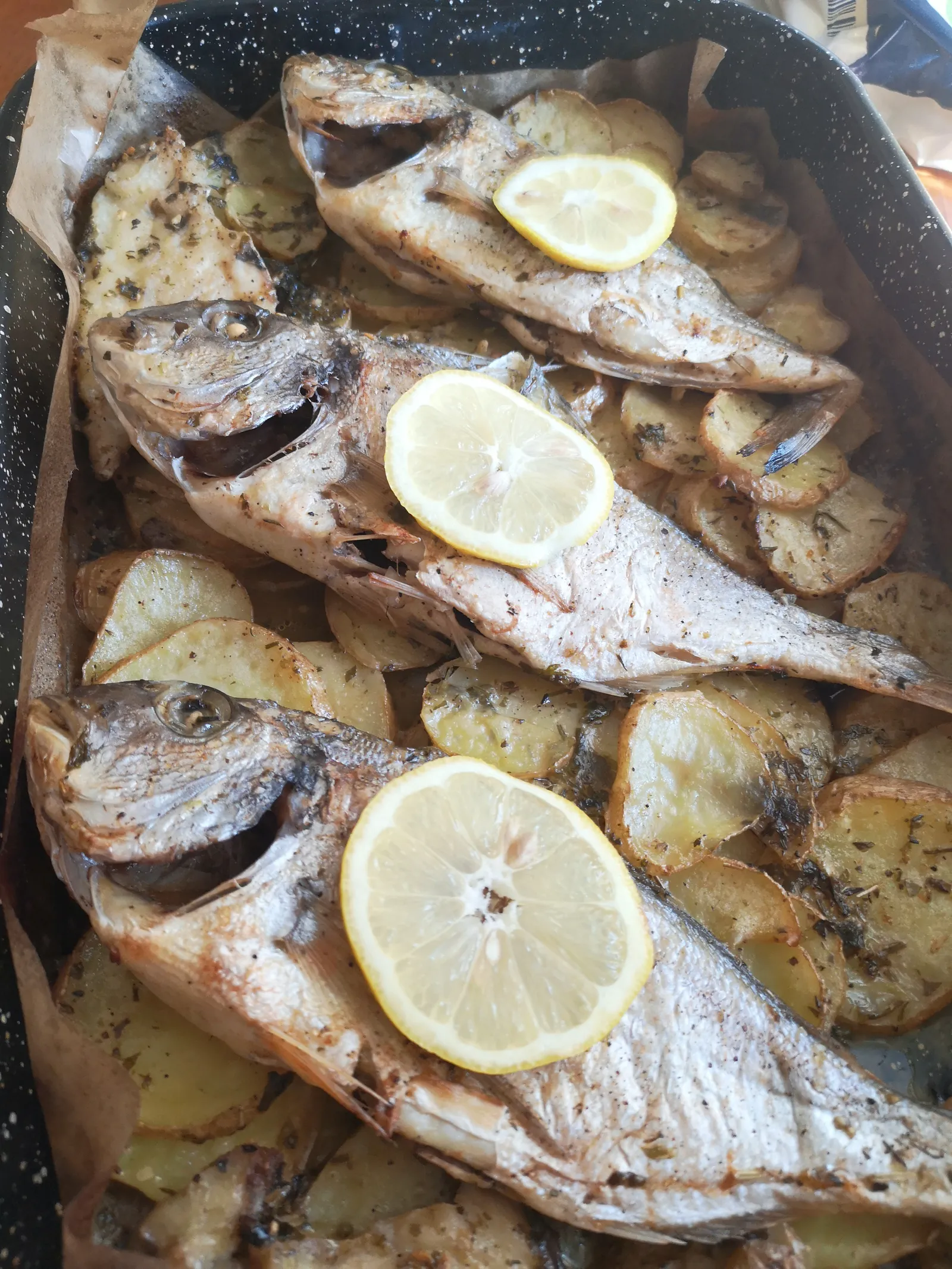 Image 2830244 (auto)