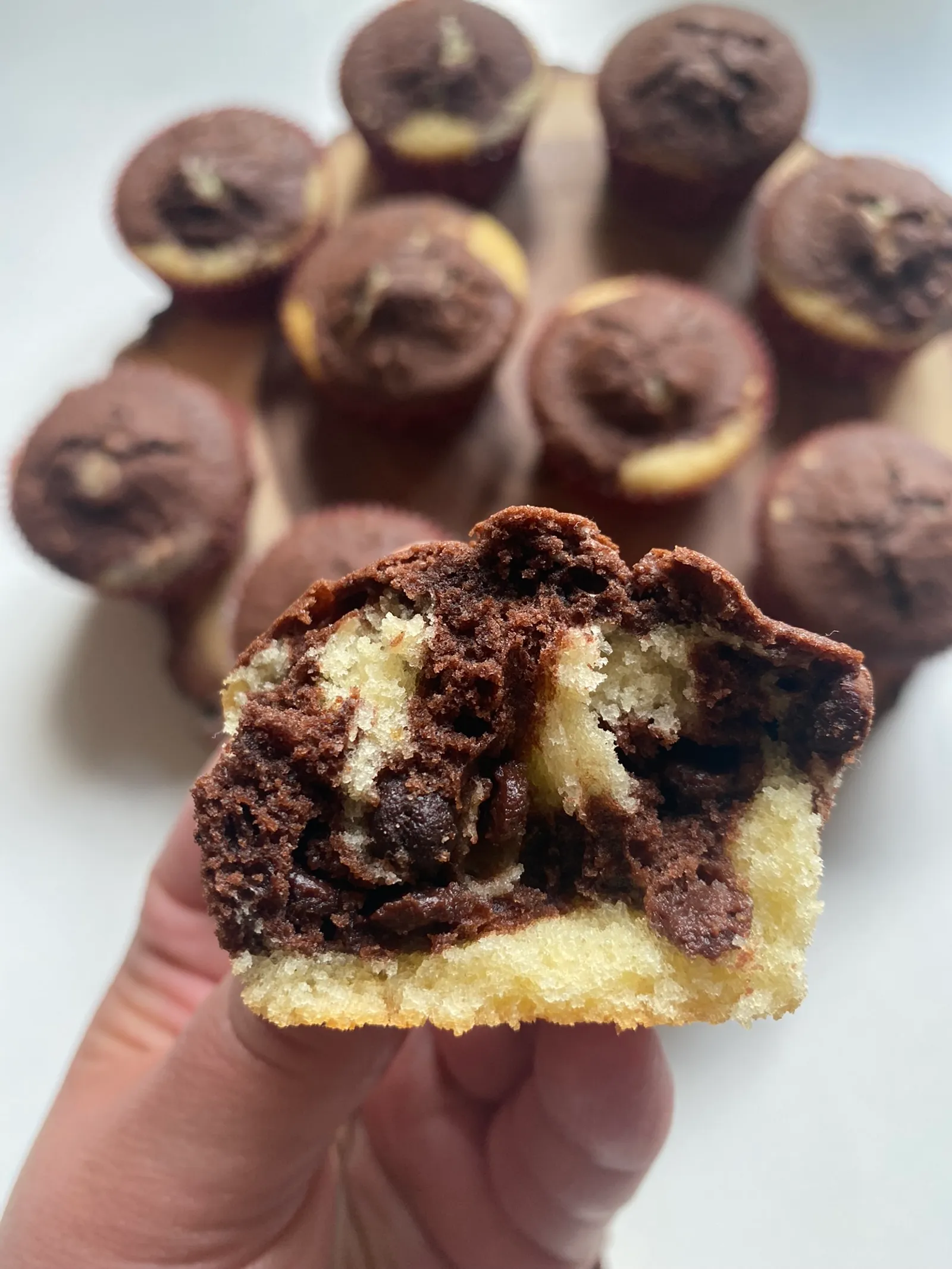 Zebra Muffini