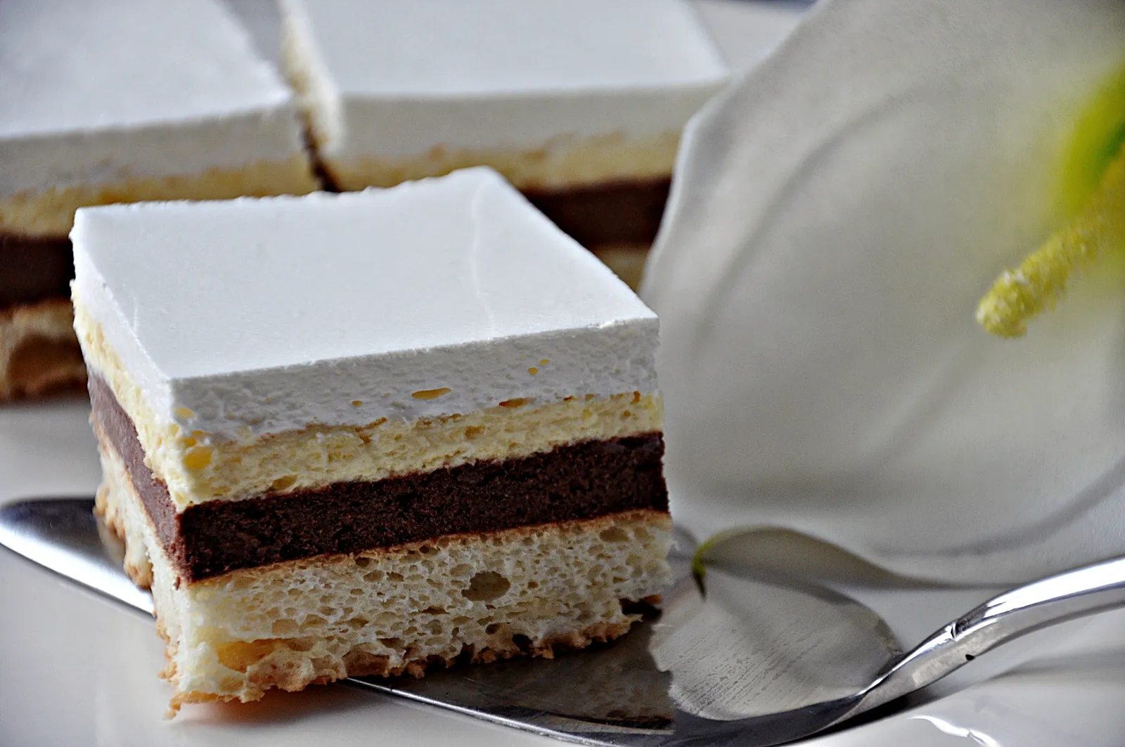 Sladoled torta by Babuci