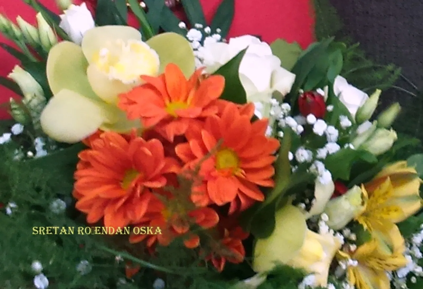 Image 2598487 (auto)