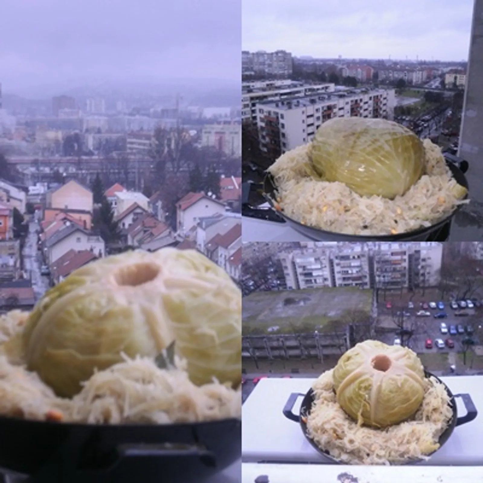 zadnja glavica kiselog zelja