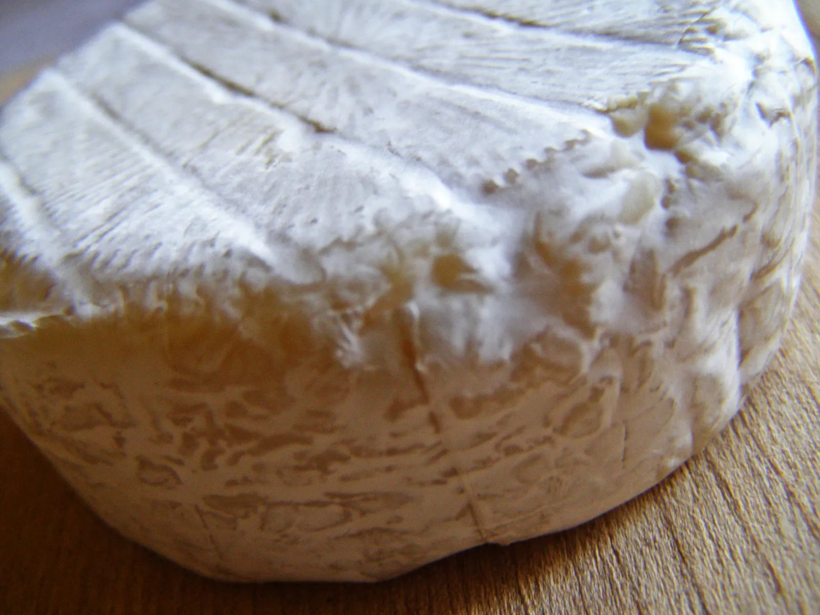 camembert