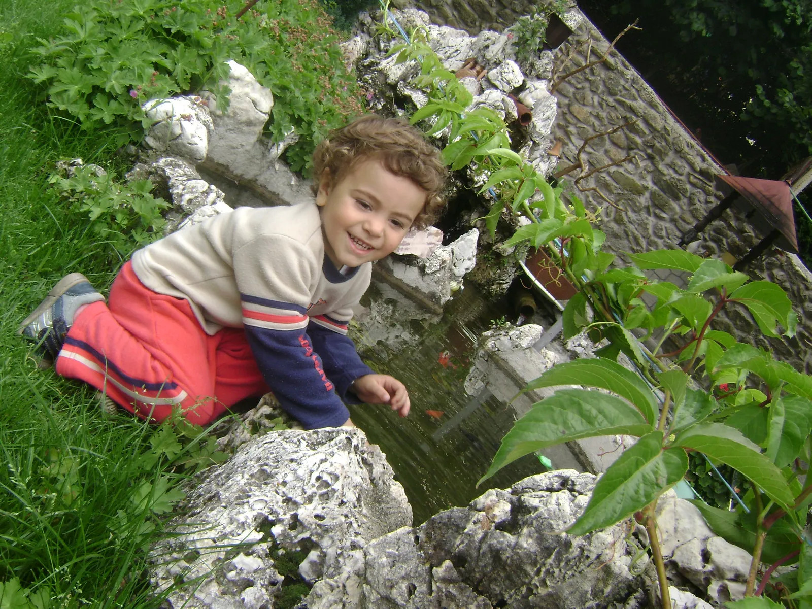 Moj Kostadin