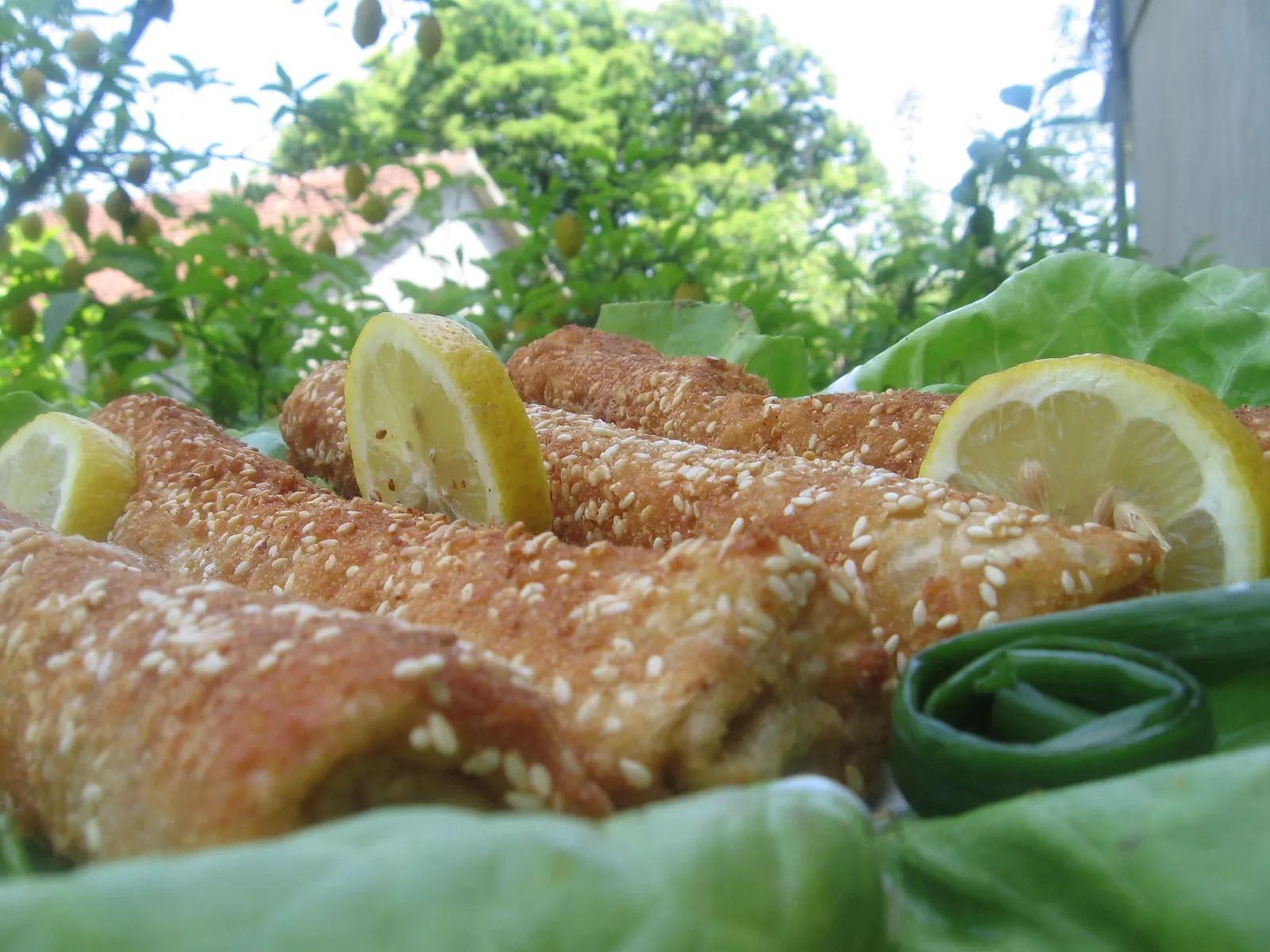 Piroske sa oblandom i susamom