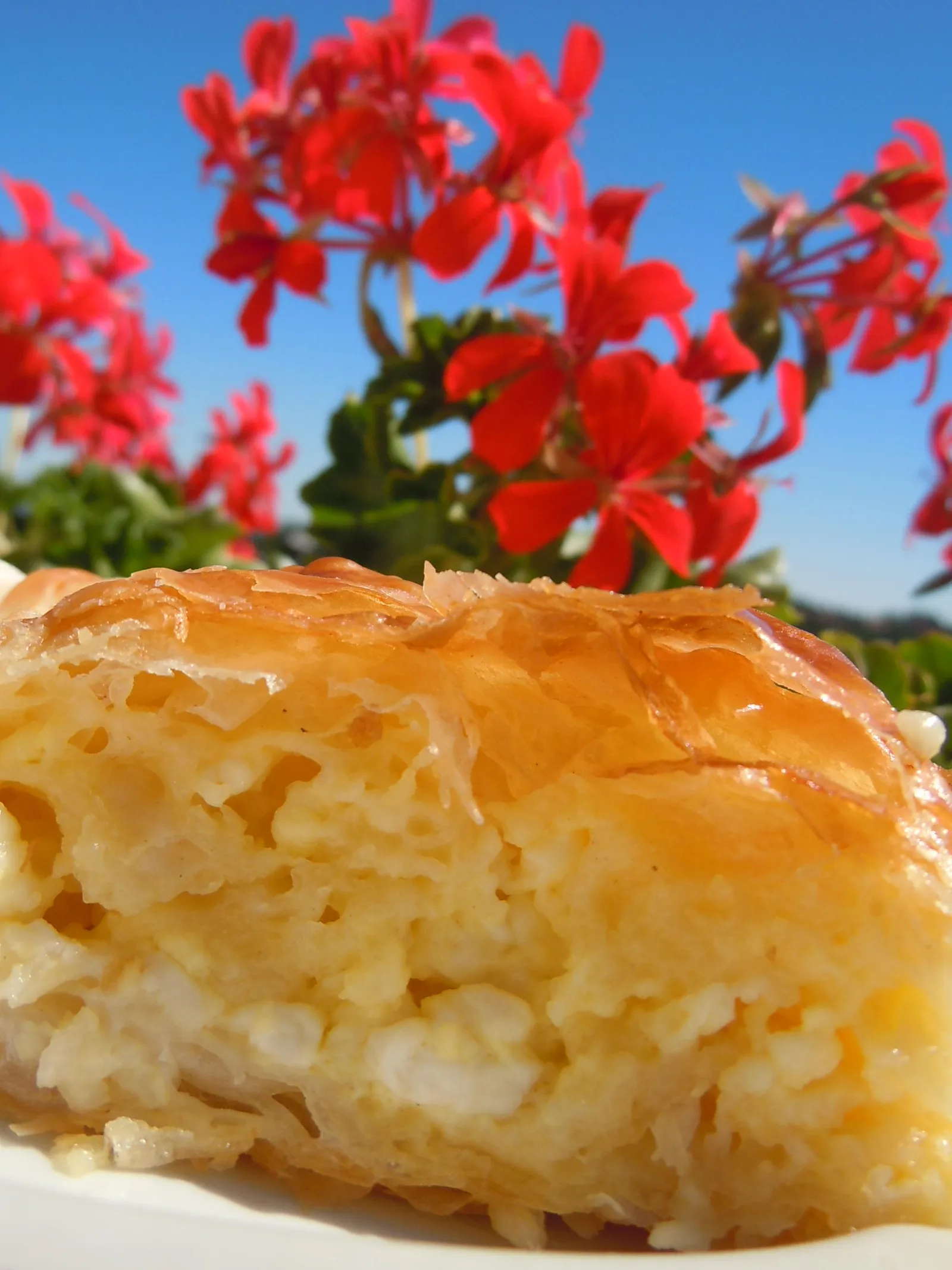 gibanica “guzvara” by agatha