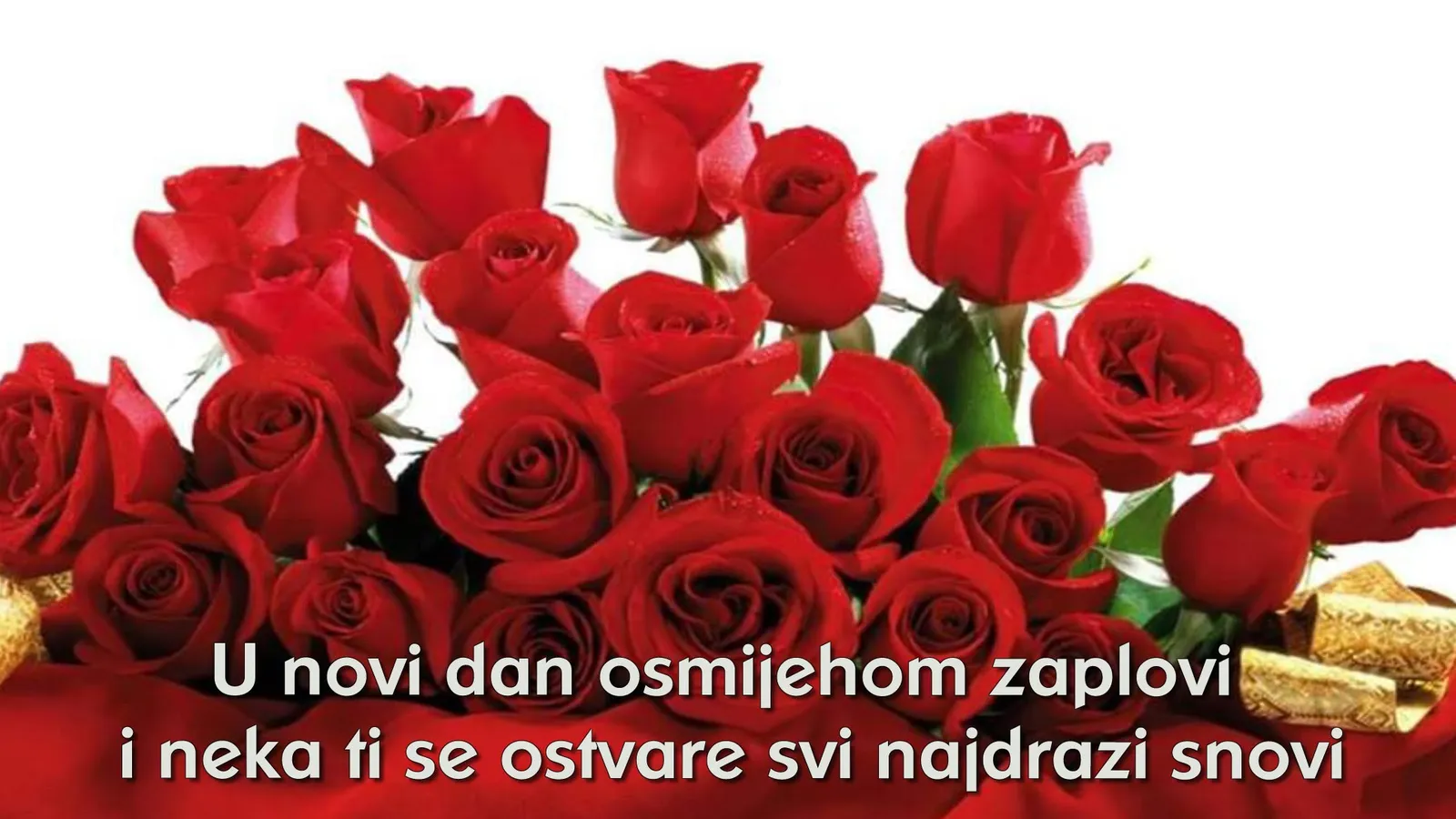 Za GocuZr