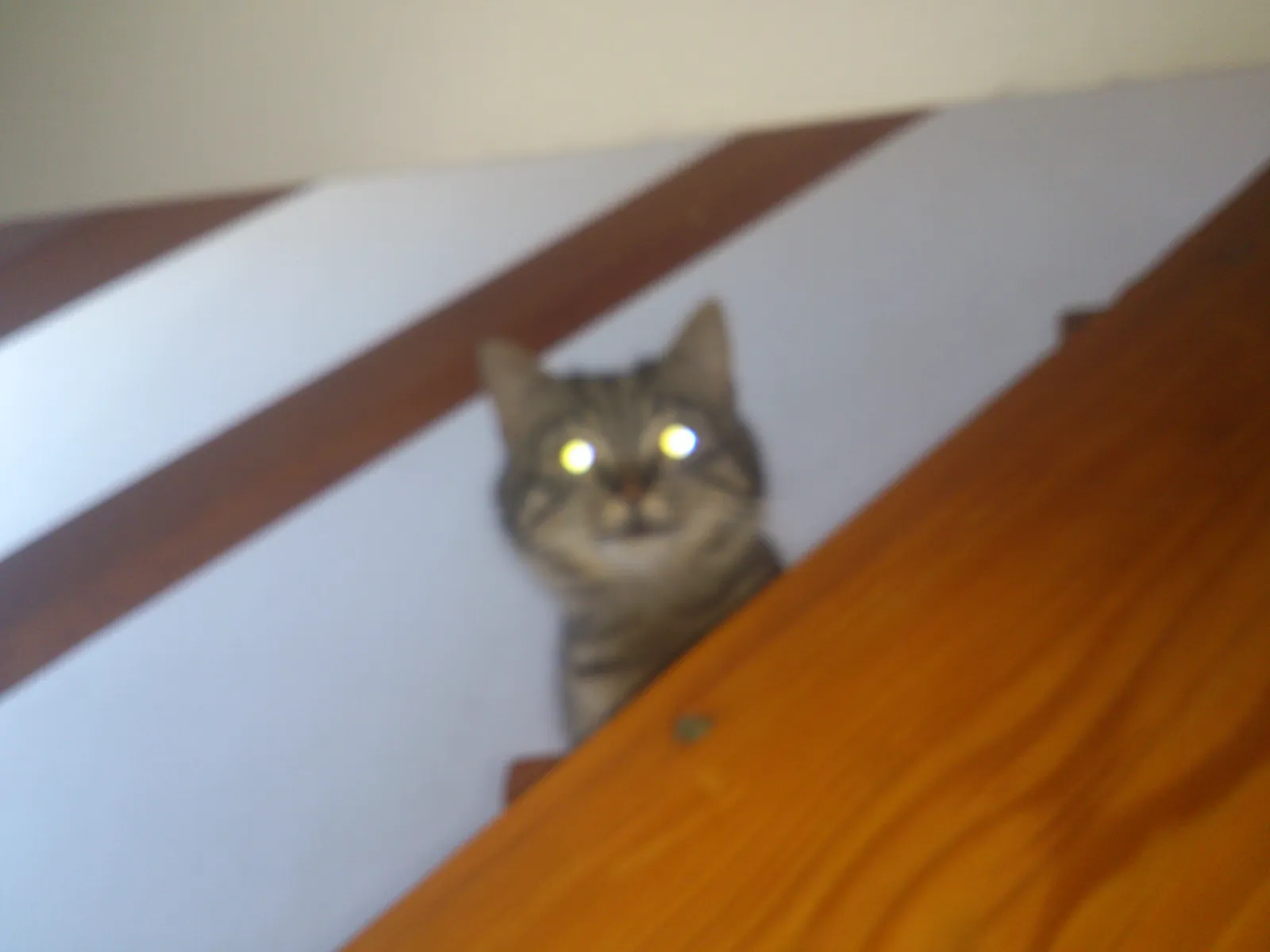 kifla