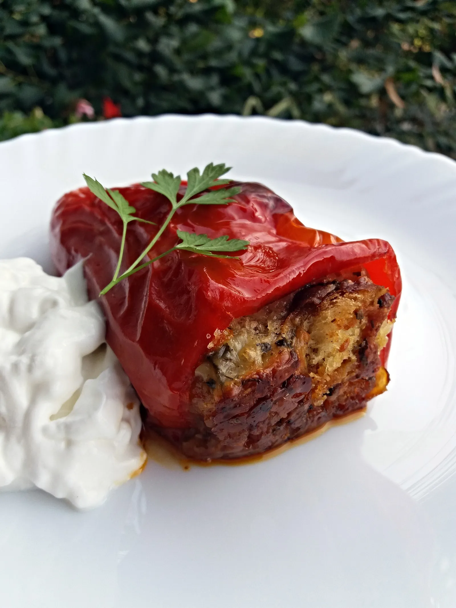 Paprike punjene kruhom, DaSilva1