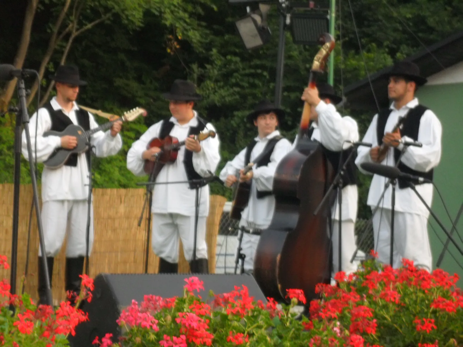 Image 1095249 (auto)