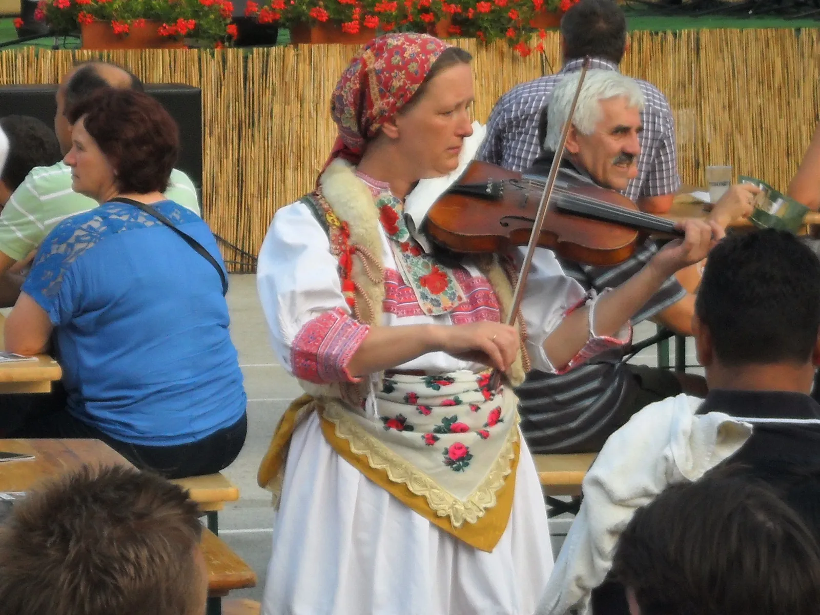 Image 1095199 (auto)