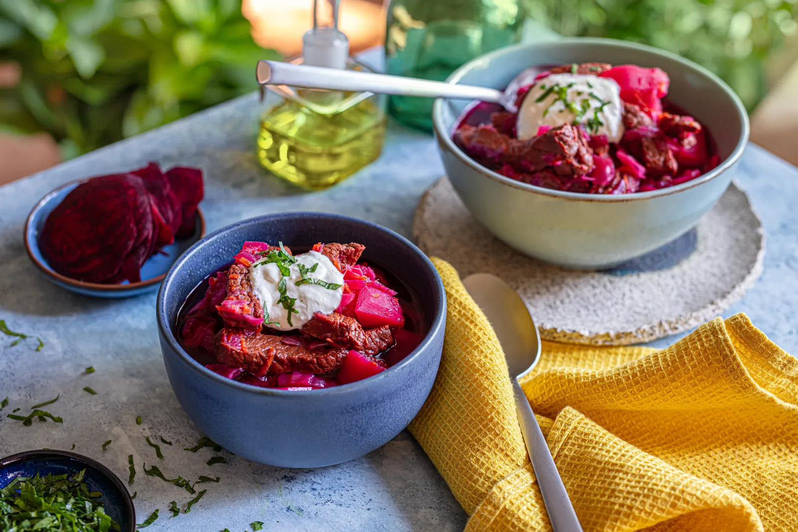 Domaći boršč s Vegetom_Coolinarika