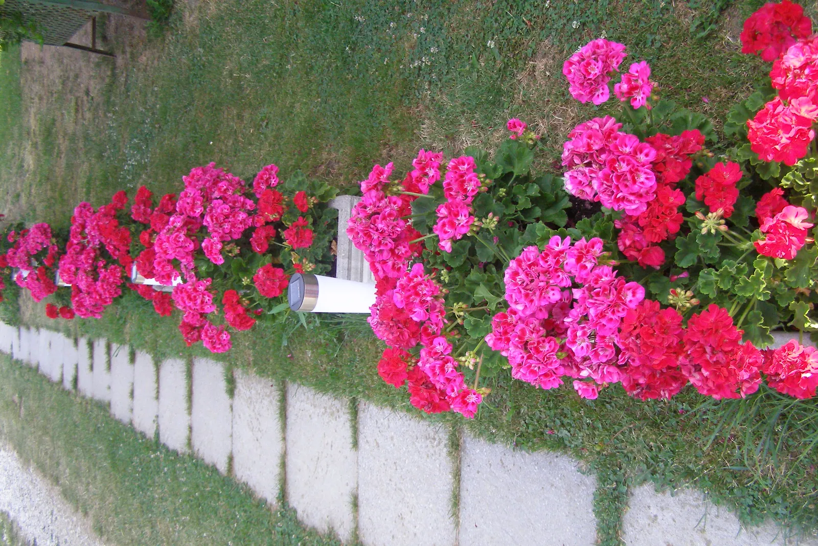 Image 1098153 (auto)