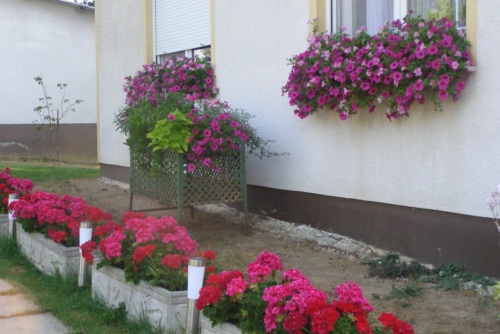 Image 1098101 (auto)