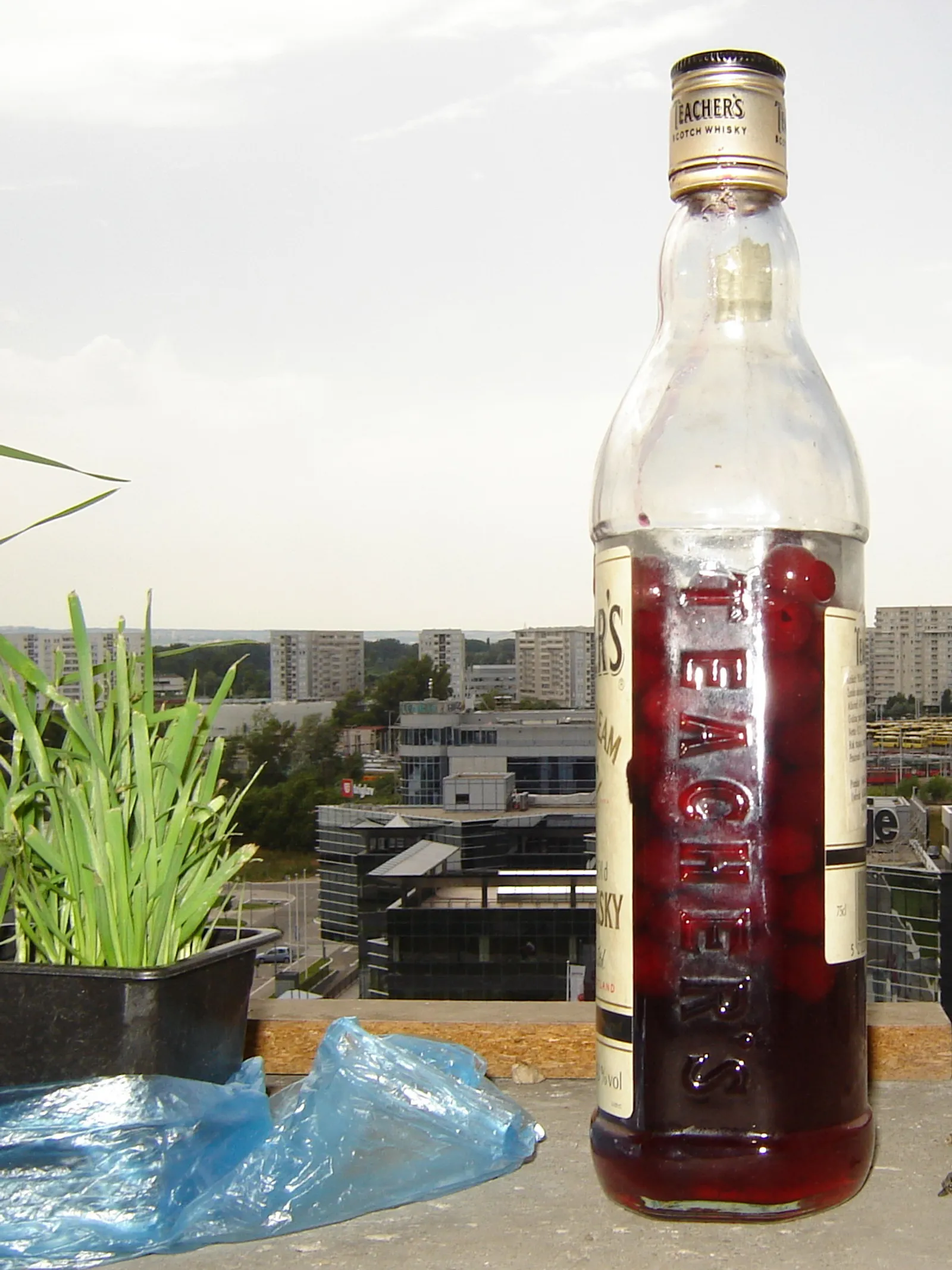 višnjevača