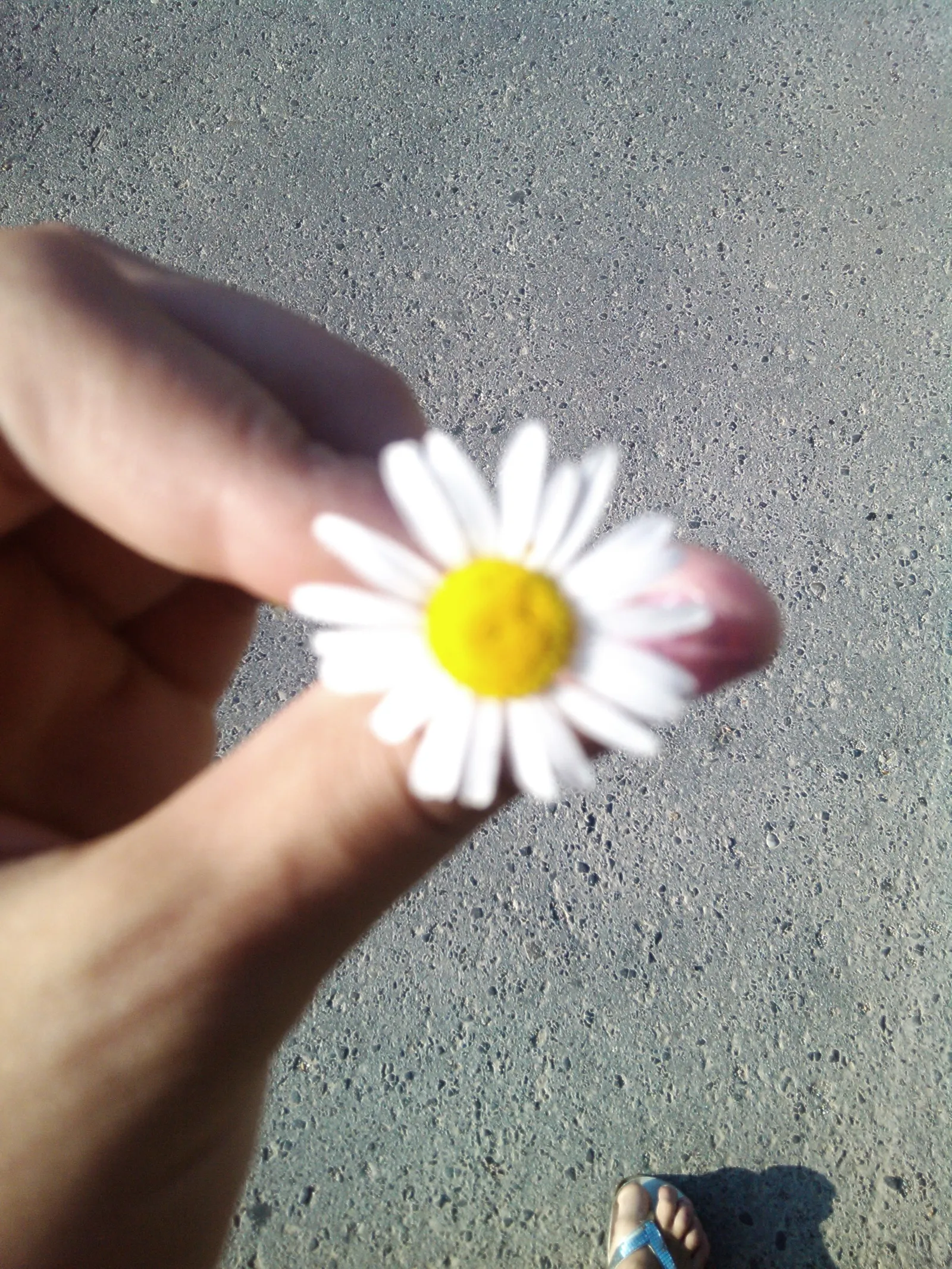 Dobro jutro