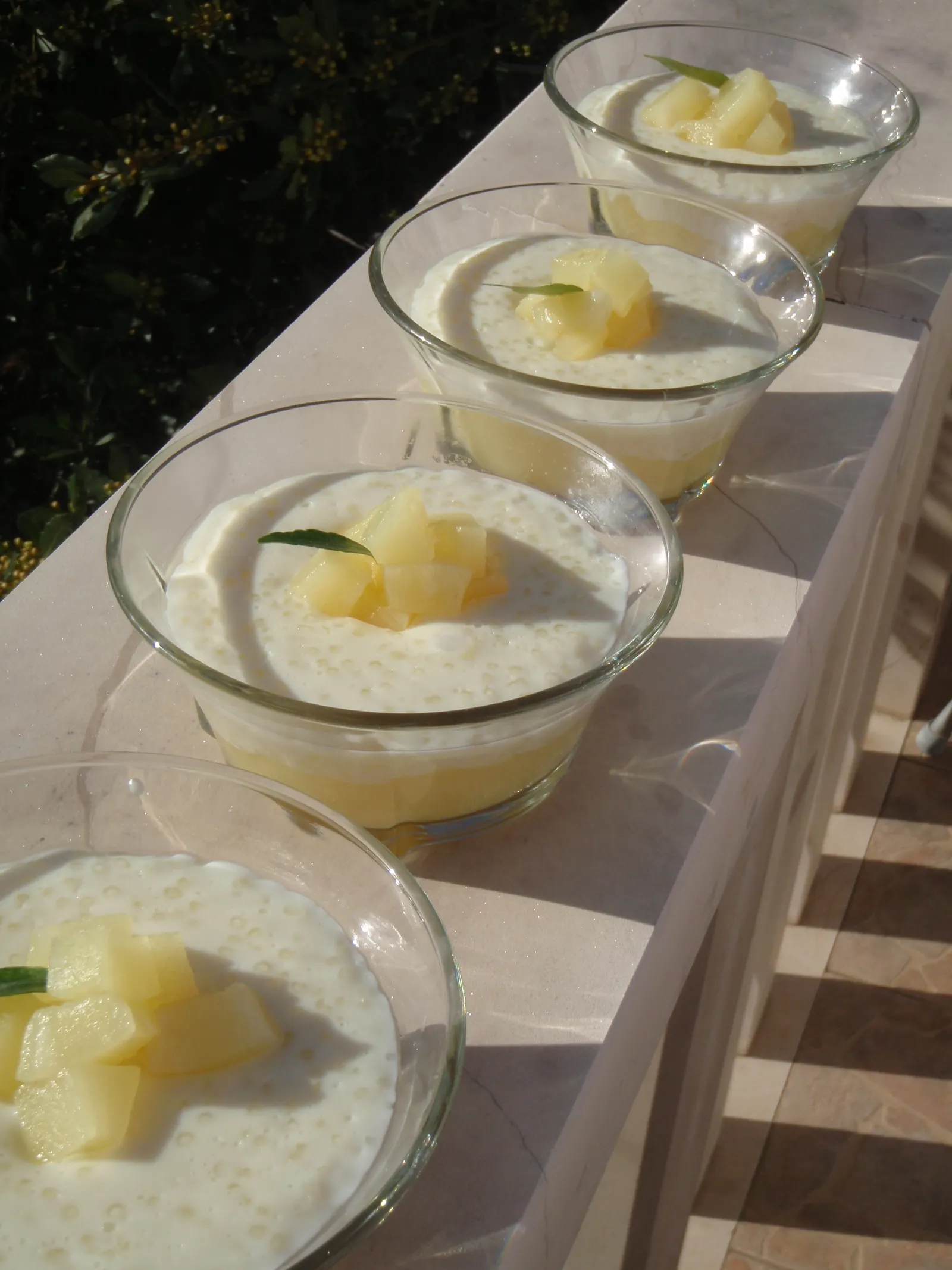 Ultimate tapioca pudding by hobbes :)